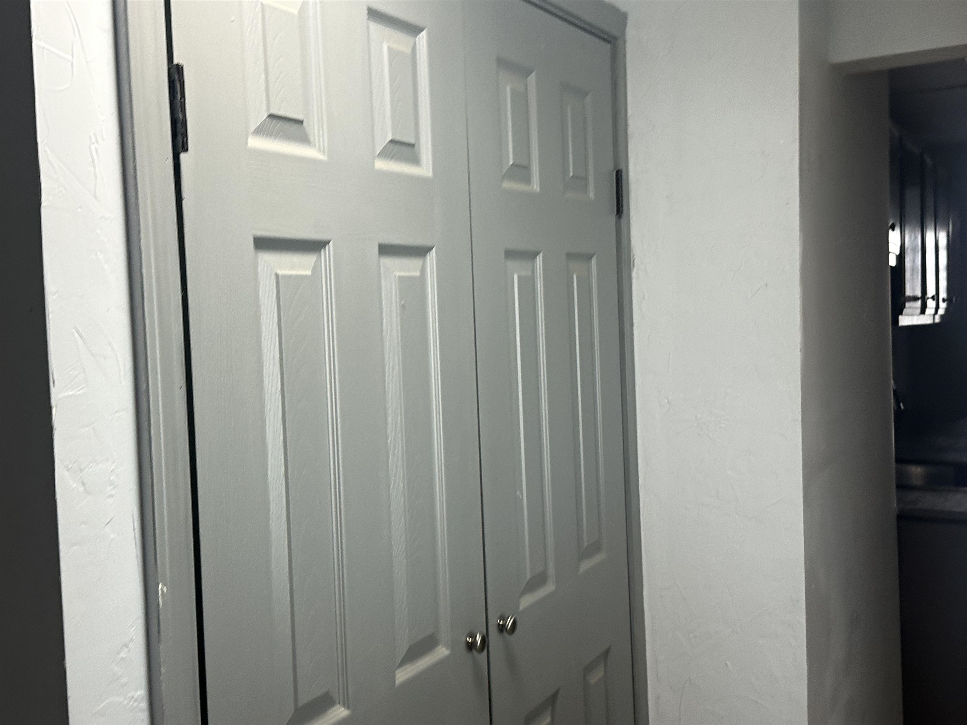 Back Door Closet