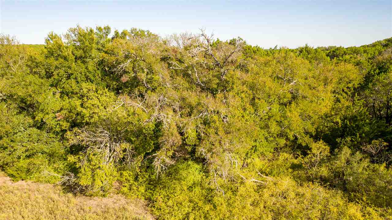 Tract 15 Hurst Place Ranch Lake Victor TX 76550 Texas River & Ranch