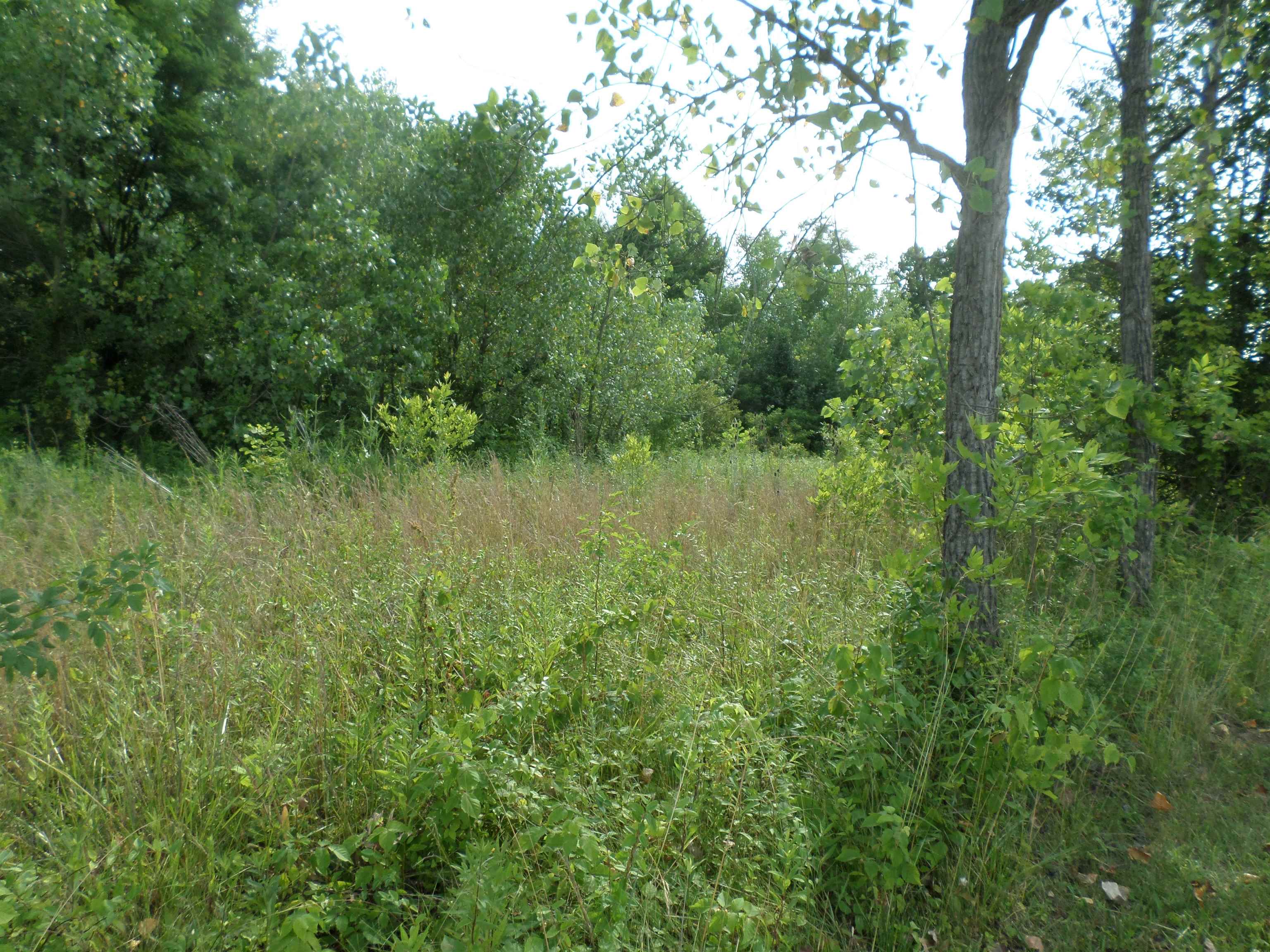 0 TOWNSHIP RD 403, PROCTORVILLE, OH 45669 Bunch Real Estate