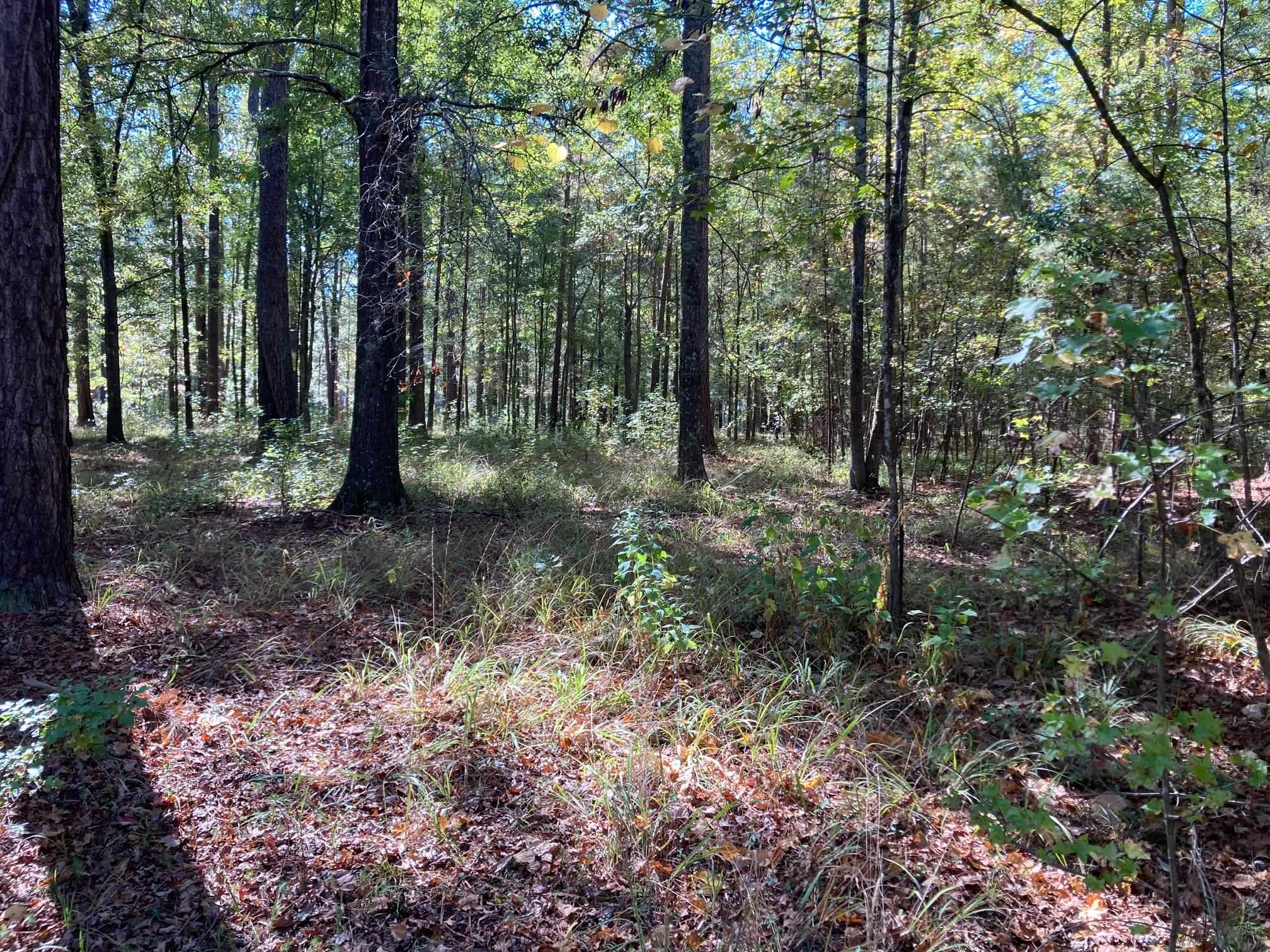 108 Porterfield Drive Reynolds Lake Oconee