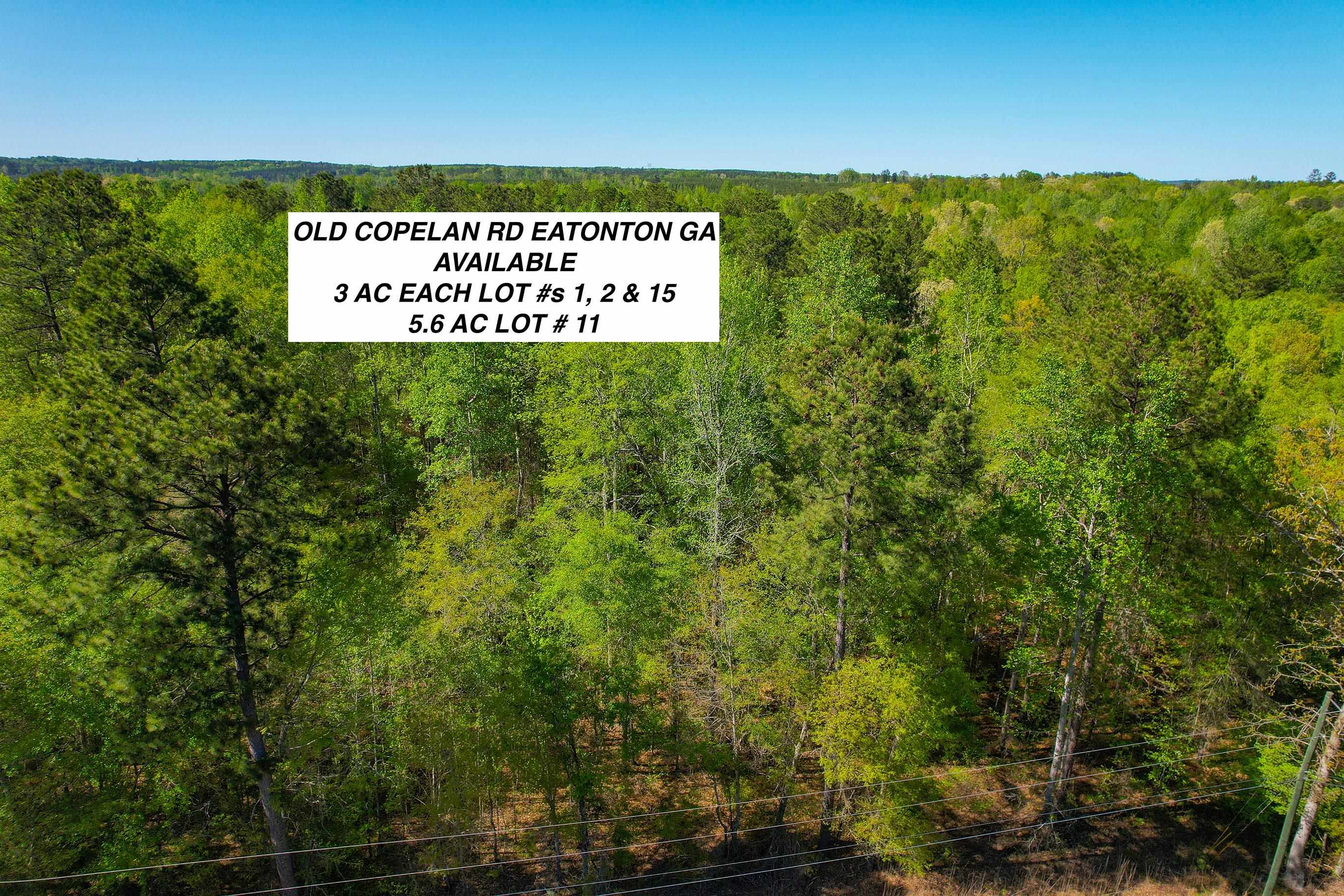 Lot 1 Old Copelan Road #1, Eatonton, Georgia image 1