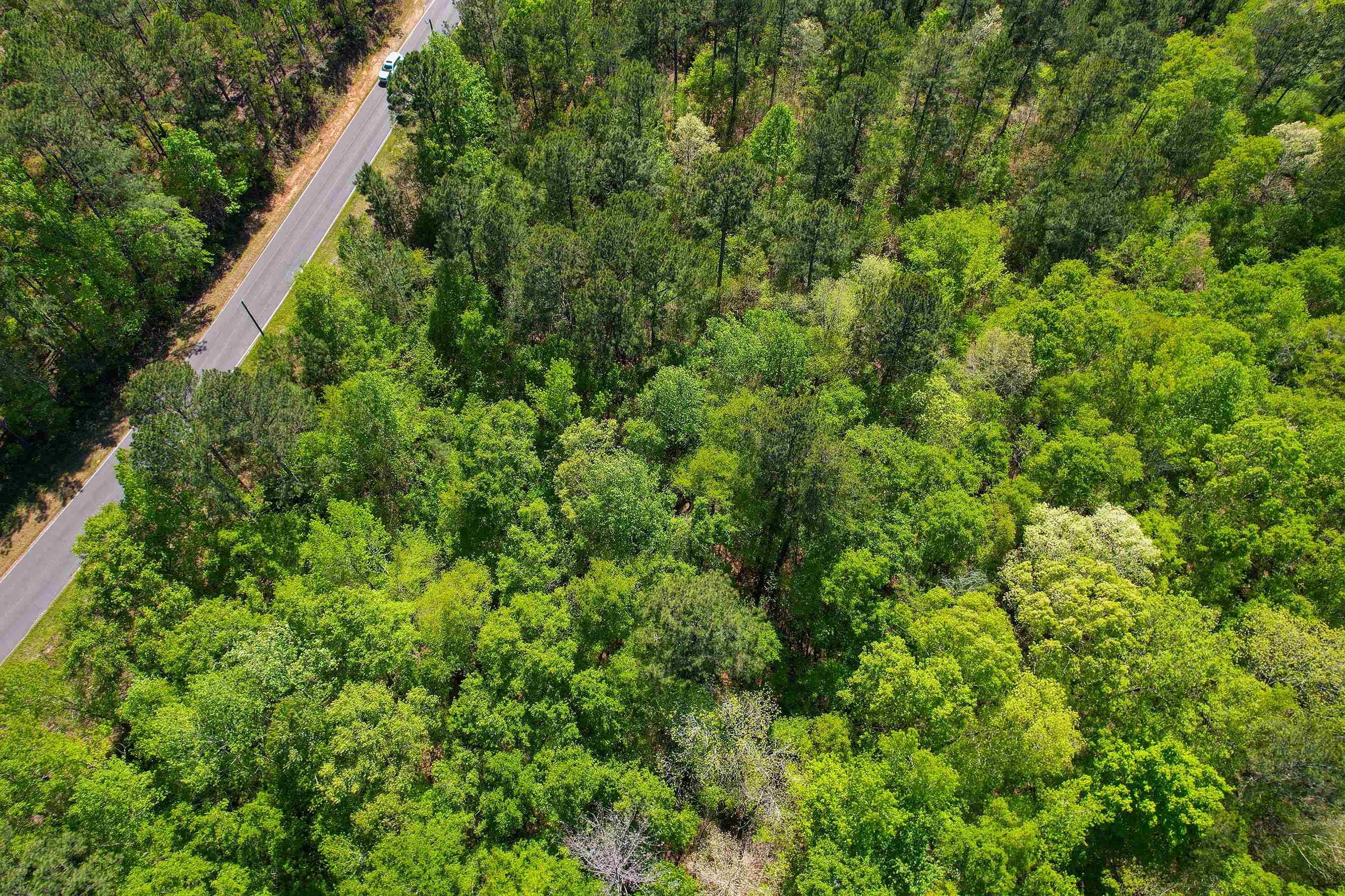 Lot 11 Old Copelan Road #11, Eatonton, Georgia image 2