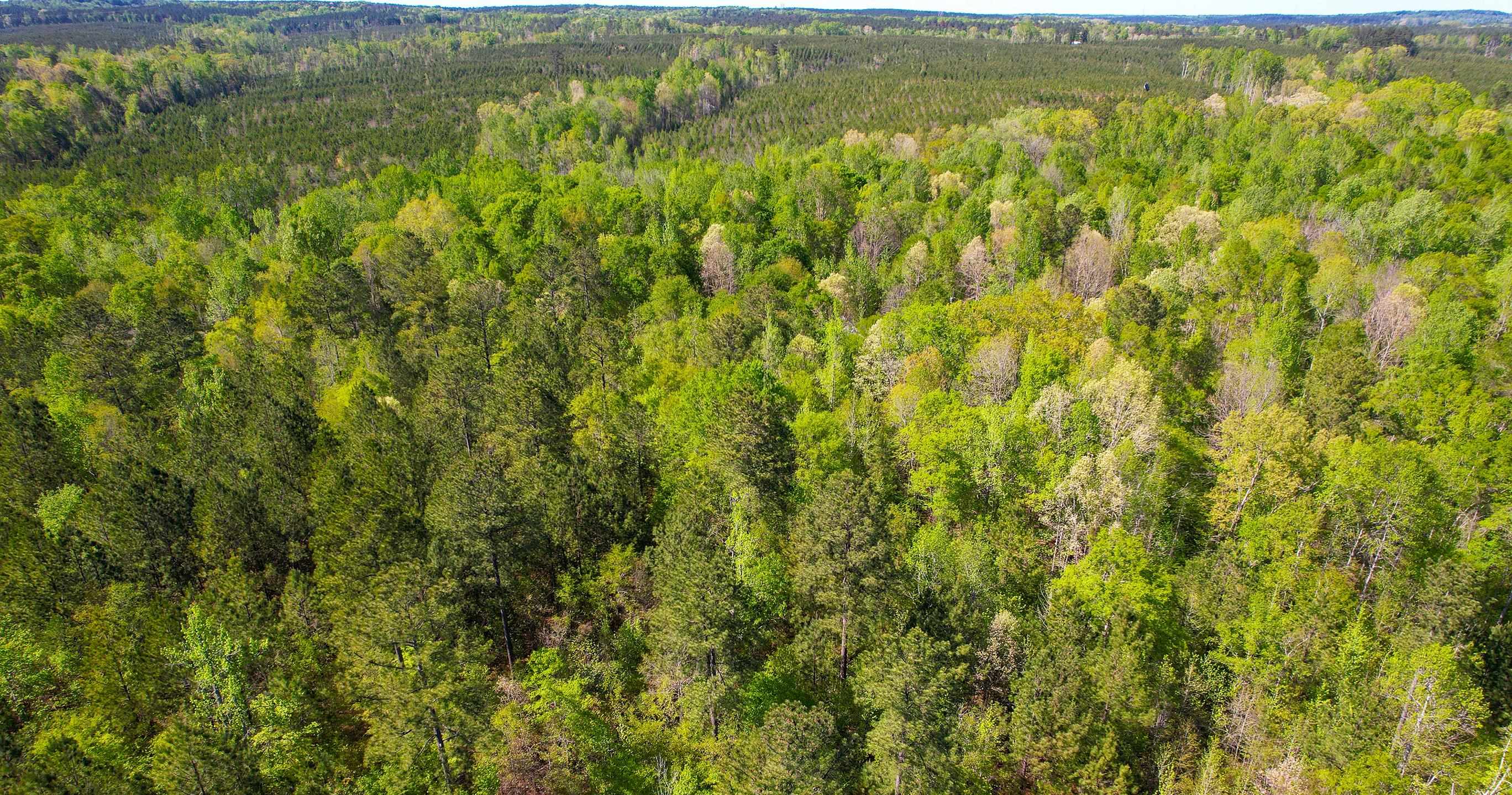 Lot 11 Old Copelan Road #11, Eatonton, Georgia image 4
