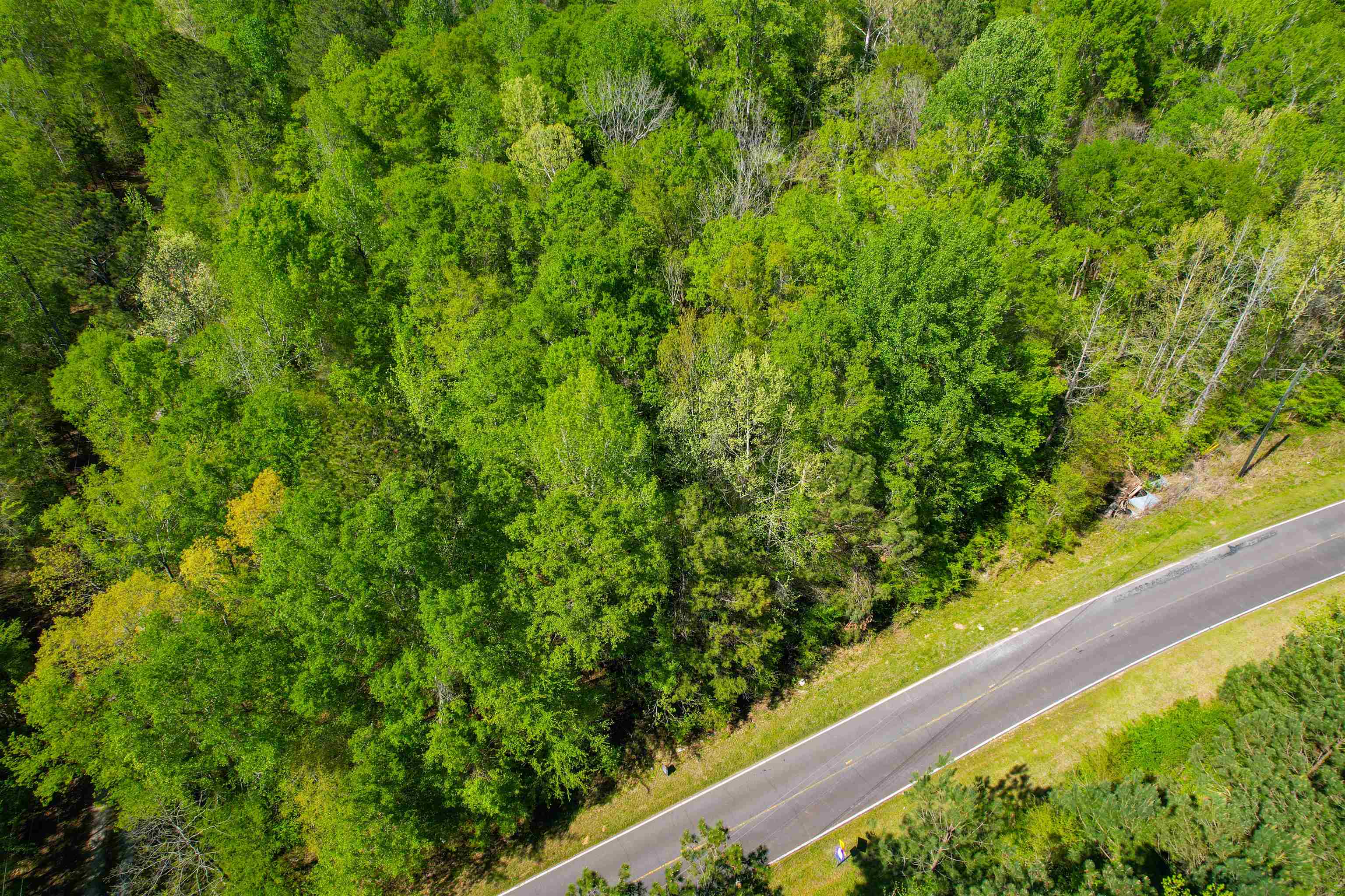 Lot 11 Old Copelan Road #11, Eatonton, Georgia image 6