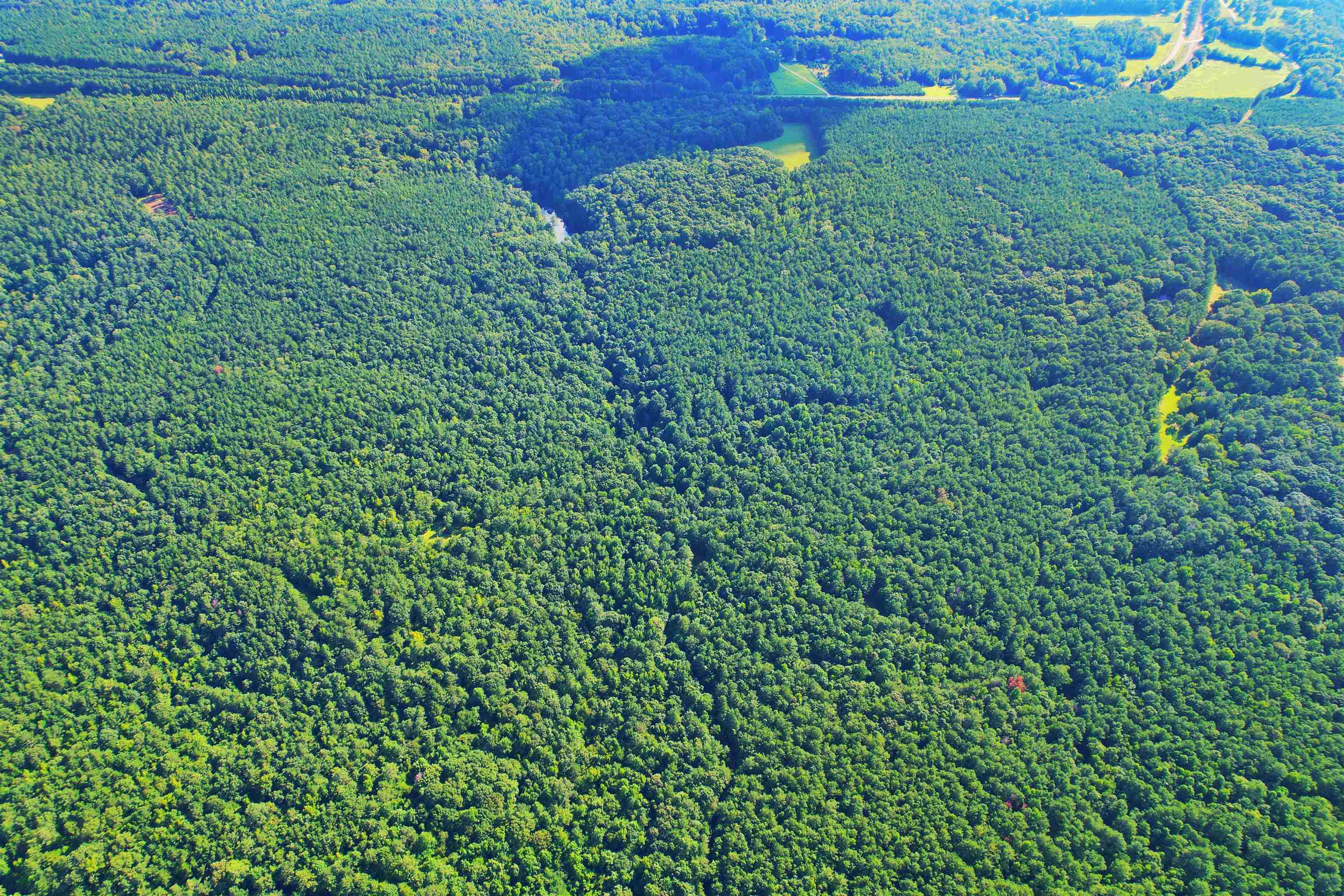 198.62 +/- AC Apalachee Woods Trail #198, Buckhead, Georgia image 2