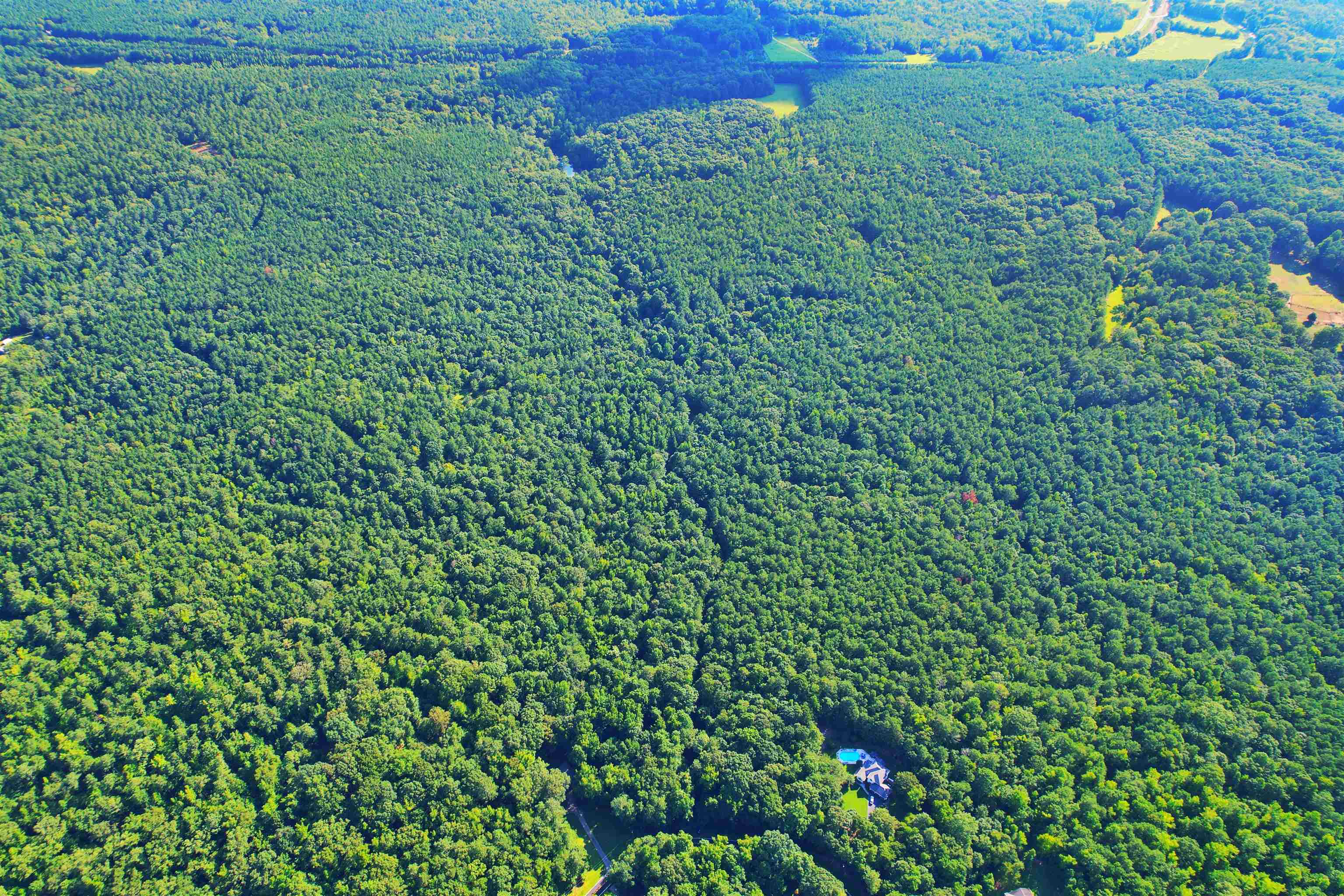 198.62 +/- AC Apalachee Woods Trail #198, Buckhead, Georgia image 11