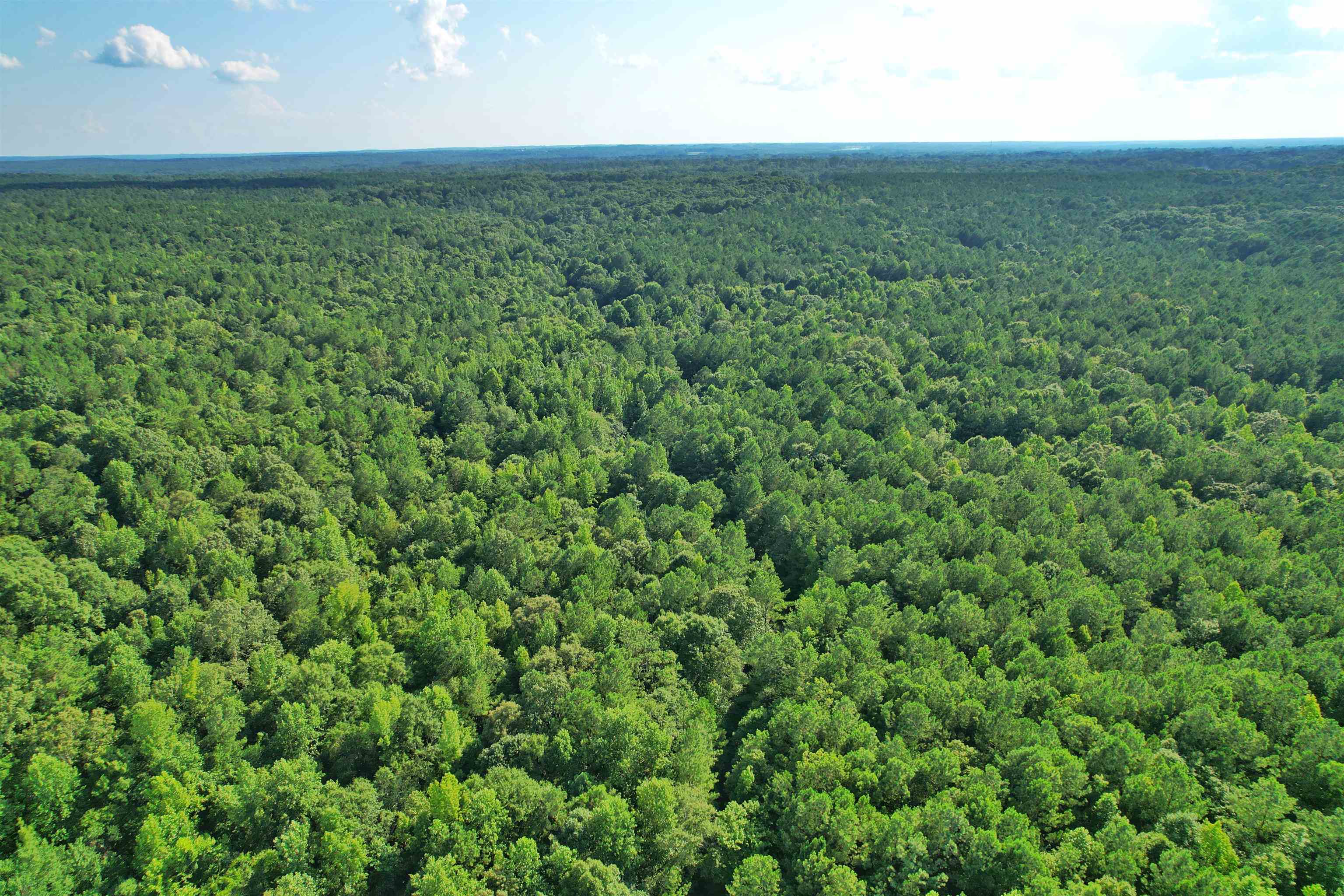 198.62 +/- AC Apalachee Woods Trail #198, Buckhead, Georgia image 15