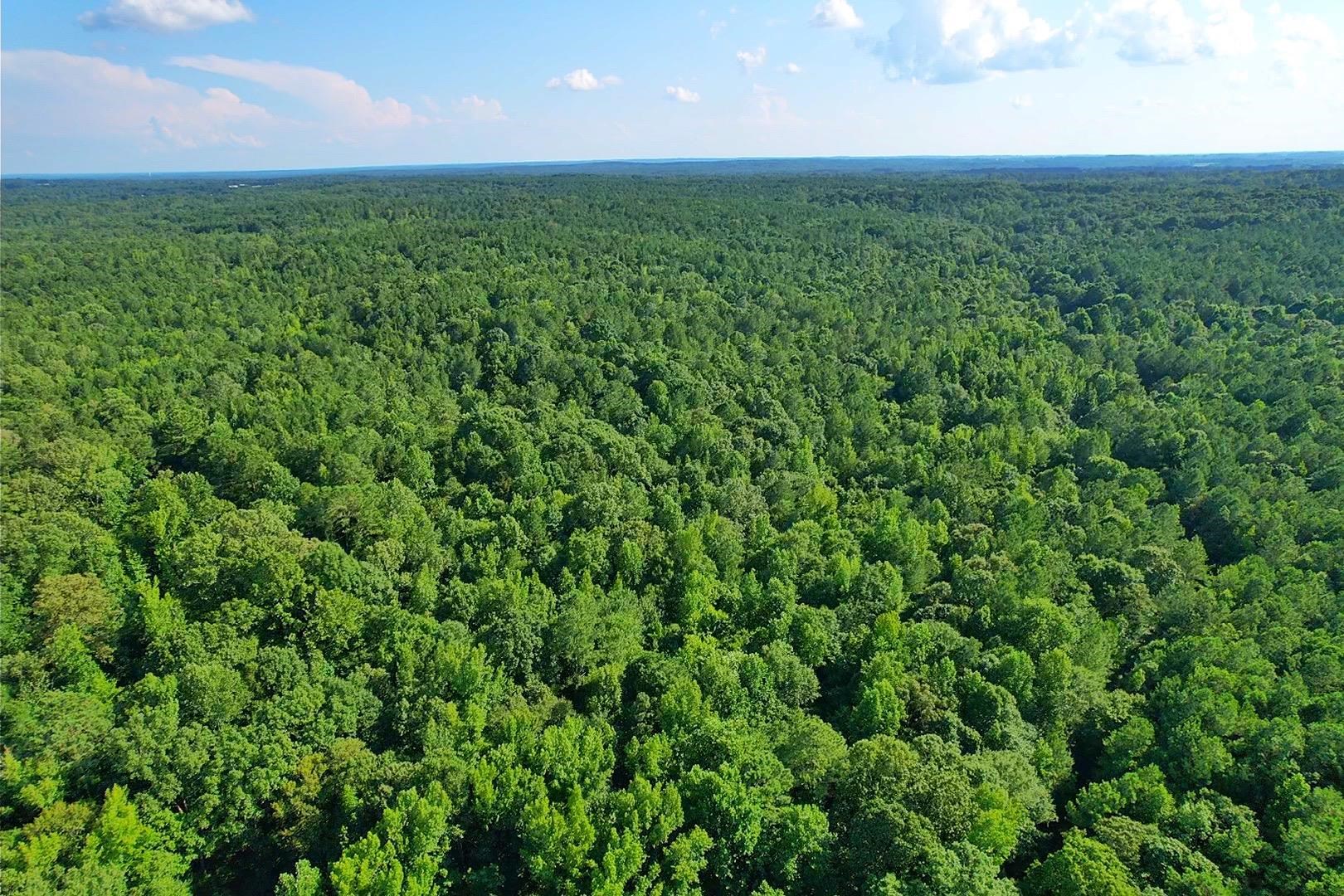 198.62 +/- AC Apalachee Woods Trail #198, Buckhead, Georgia image 16