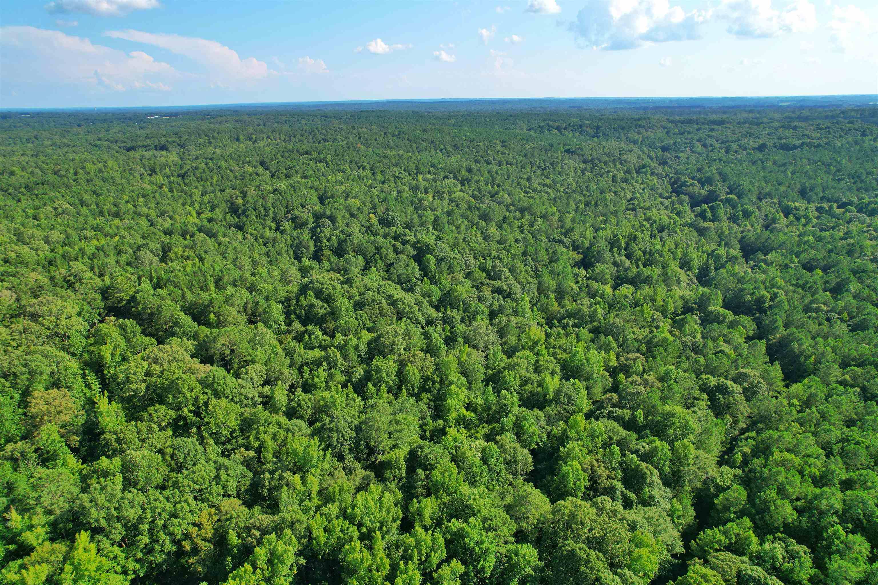 198.62 +/- AC Apalachee Woods Trail #198, Buckhead, Georgia image 17