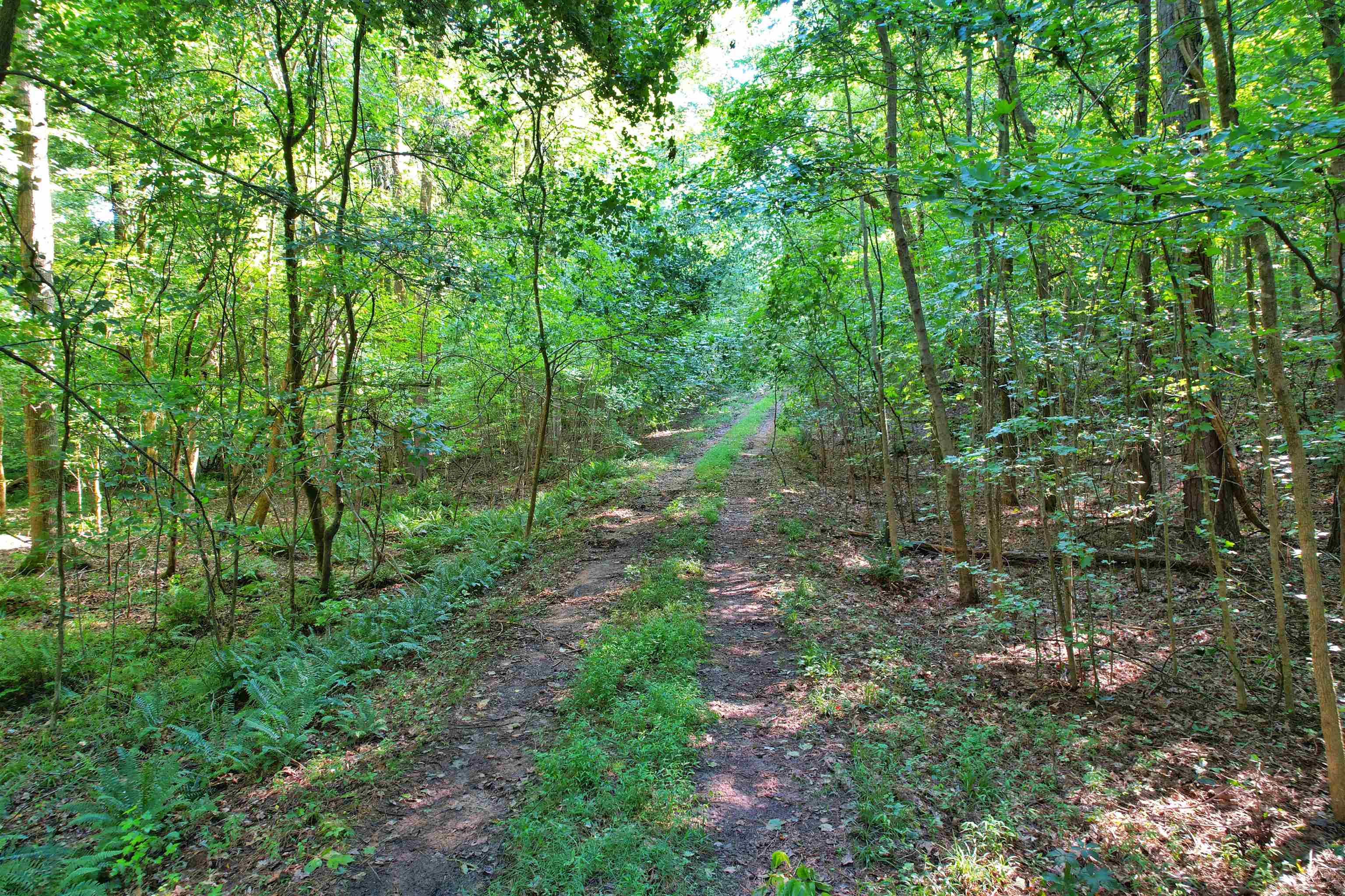 198.62 +/- AC Apalachee Woods Trail #198, Buckhead, Georgia image 3