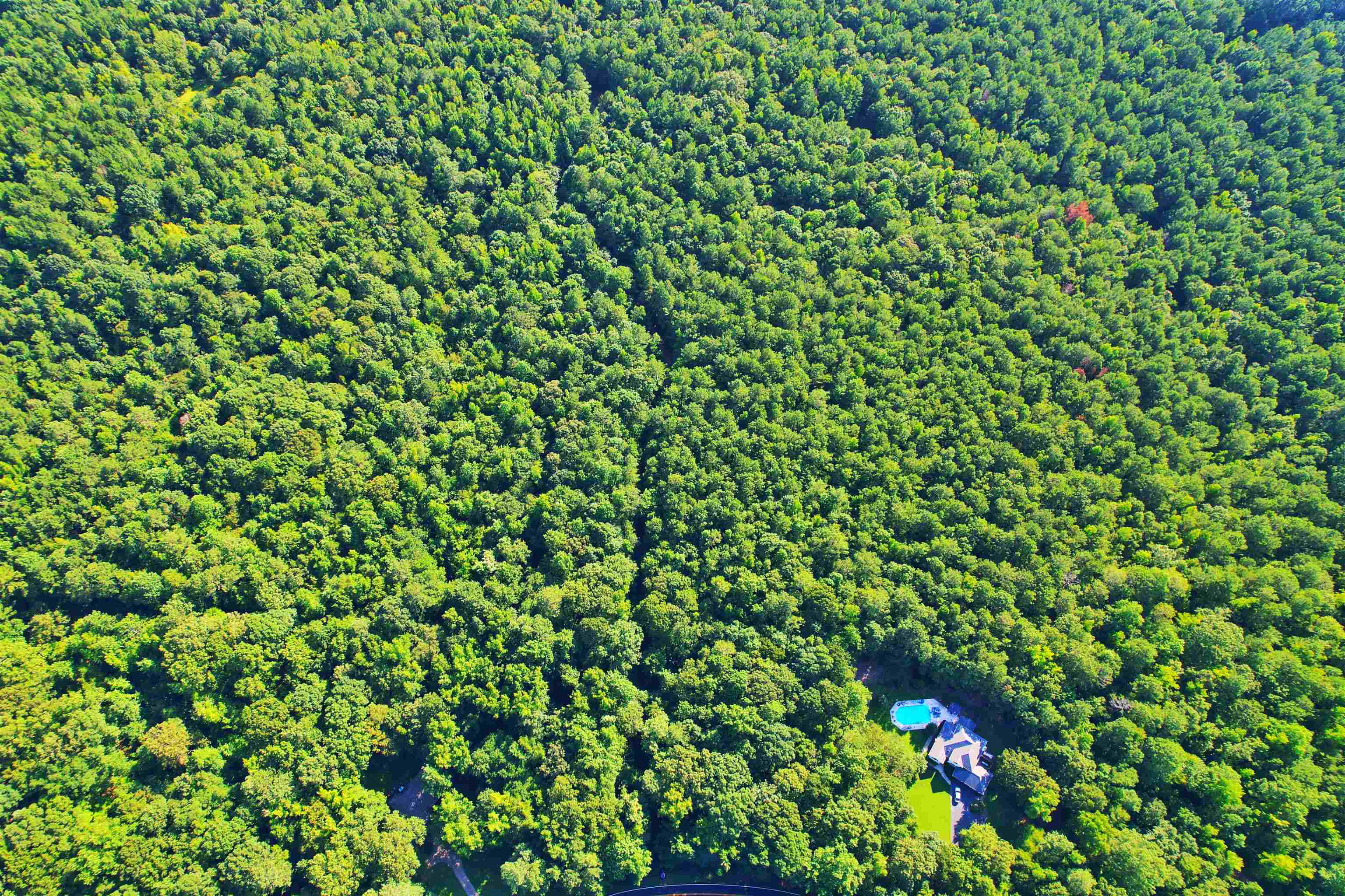 198.62 +/- AC Apalachee Woods Trail #198, Buckhead, Georgia image 4