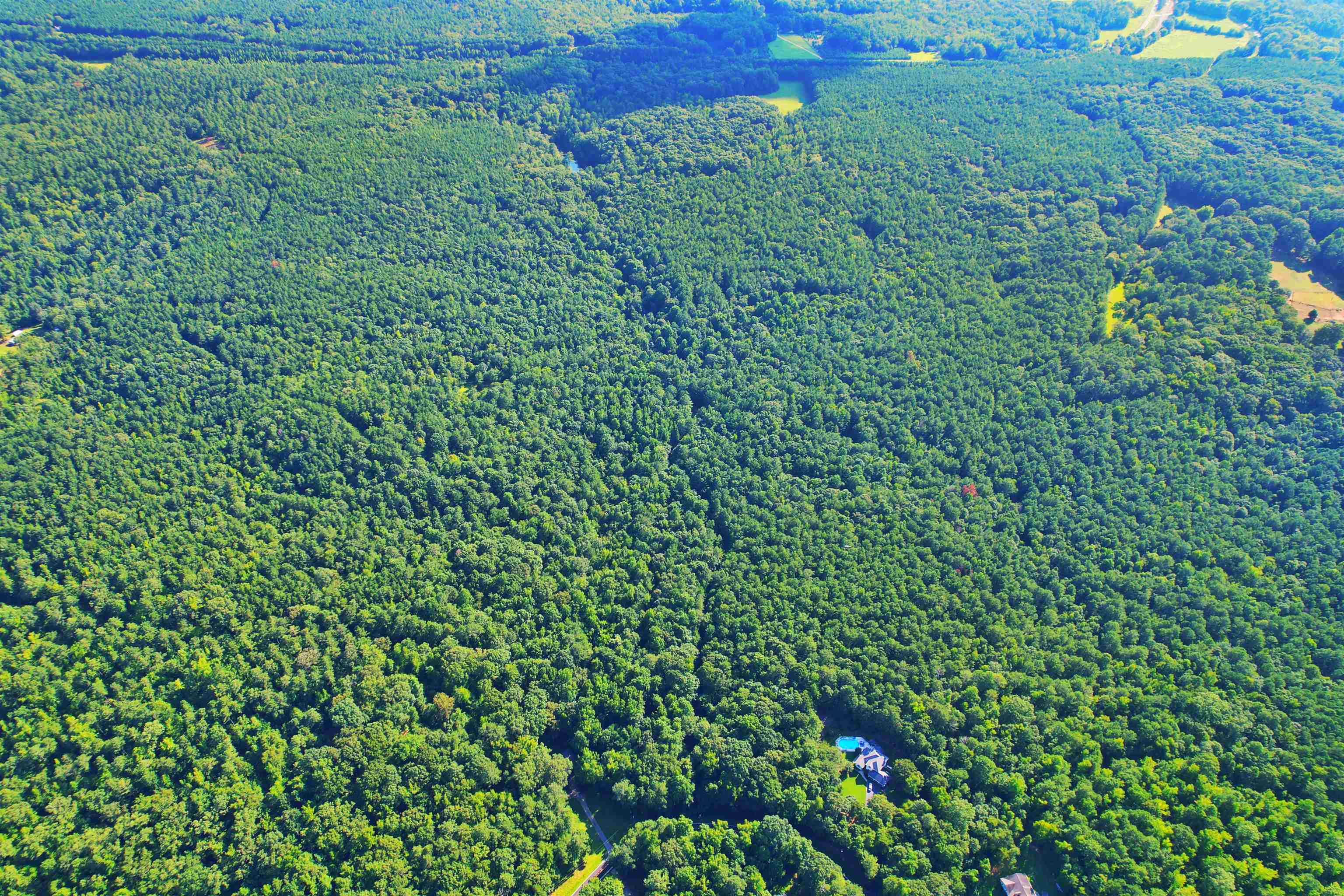 198.62 +/- AC Apalachee Woods Trail #198, Buckhead, Georgia image 5