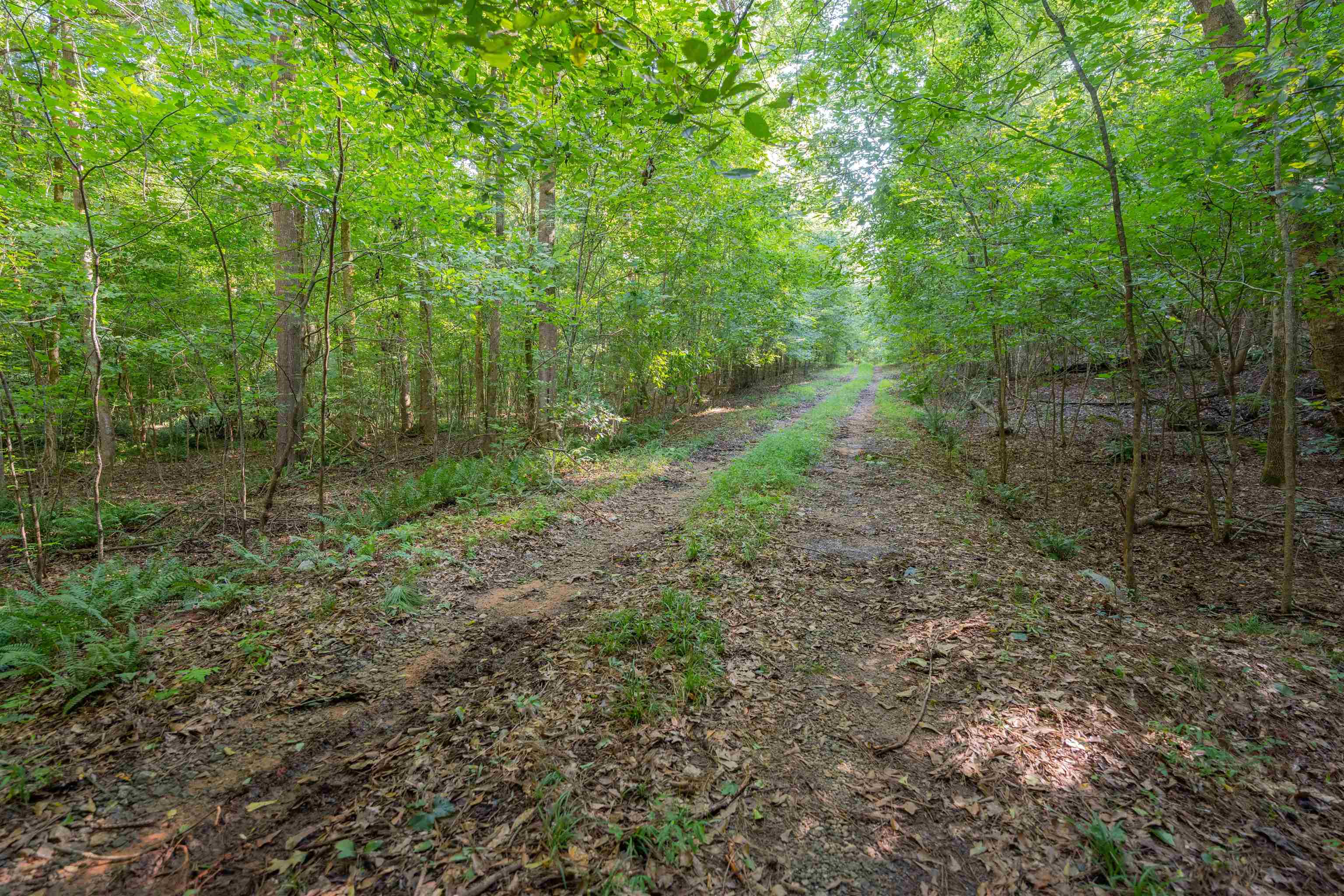 198.62 +/- AC Apalachee Woods Trail #198, Buckhead, Georgia image 6