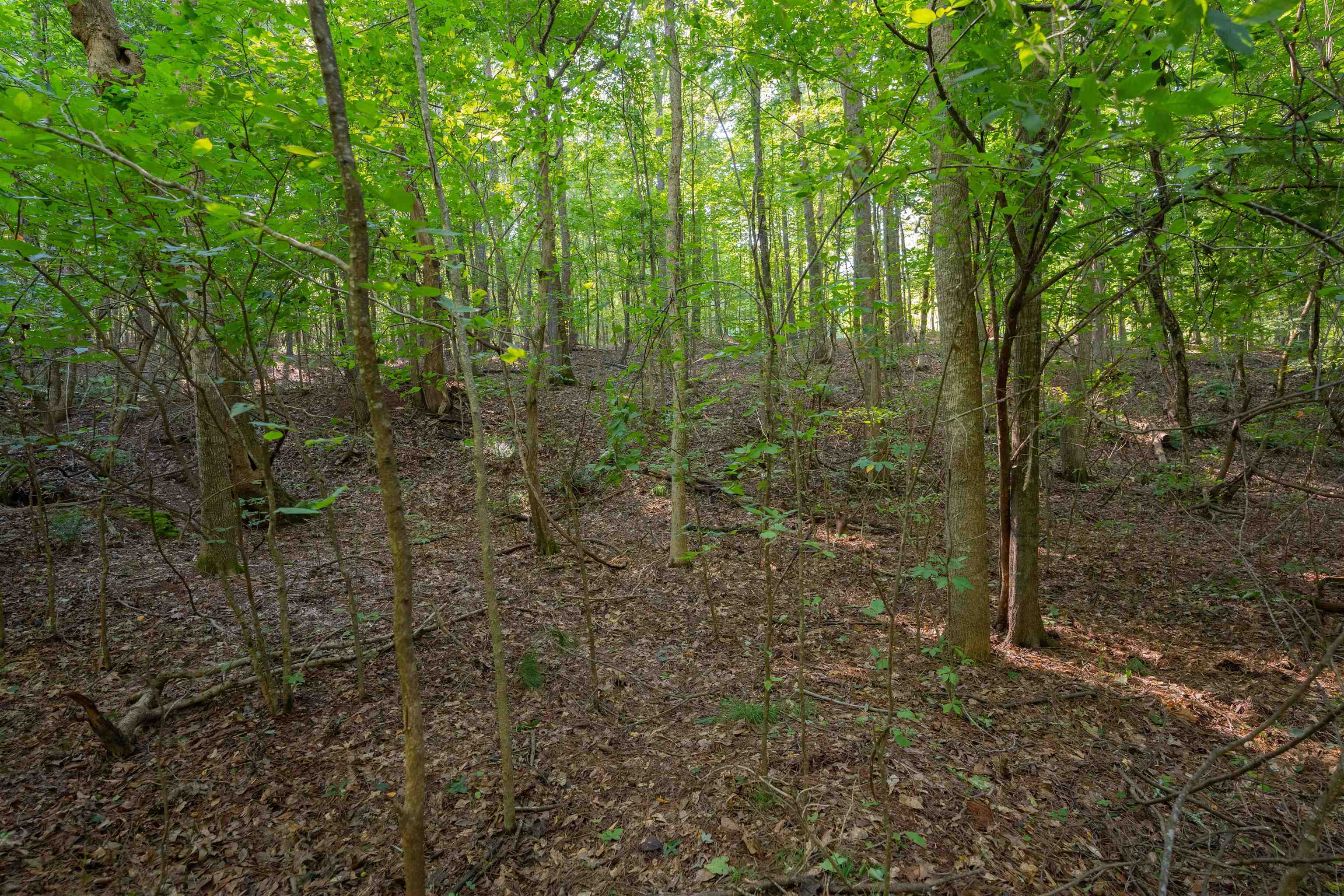 198.62 +/- AC Apalachee Woods Trail #198, Buckhead, Georgia image 7