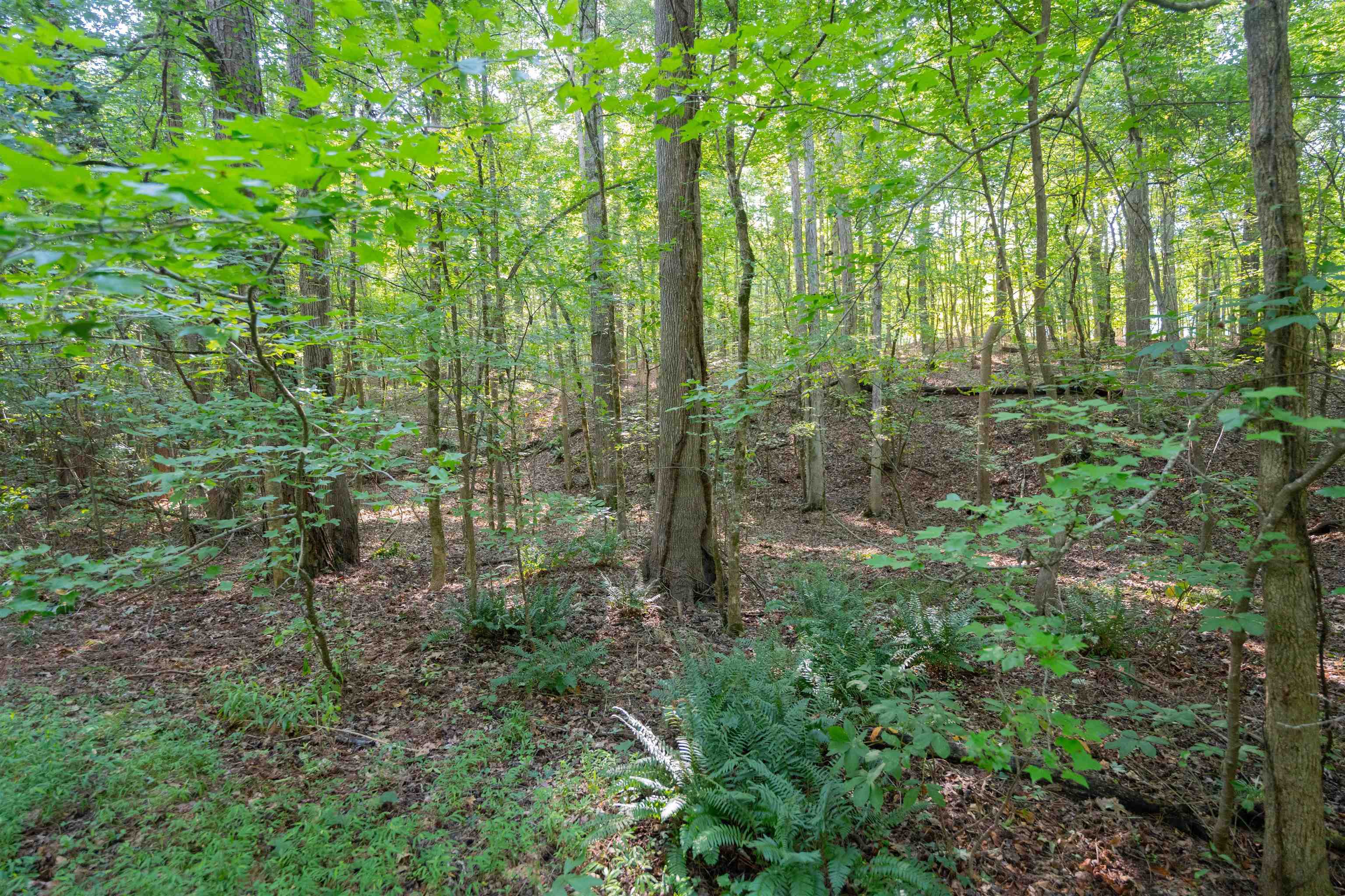 198.62 +/- AC Apalachee Woods Trail #198, Buckhead, Georgia image 8