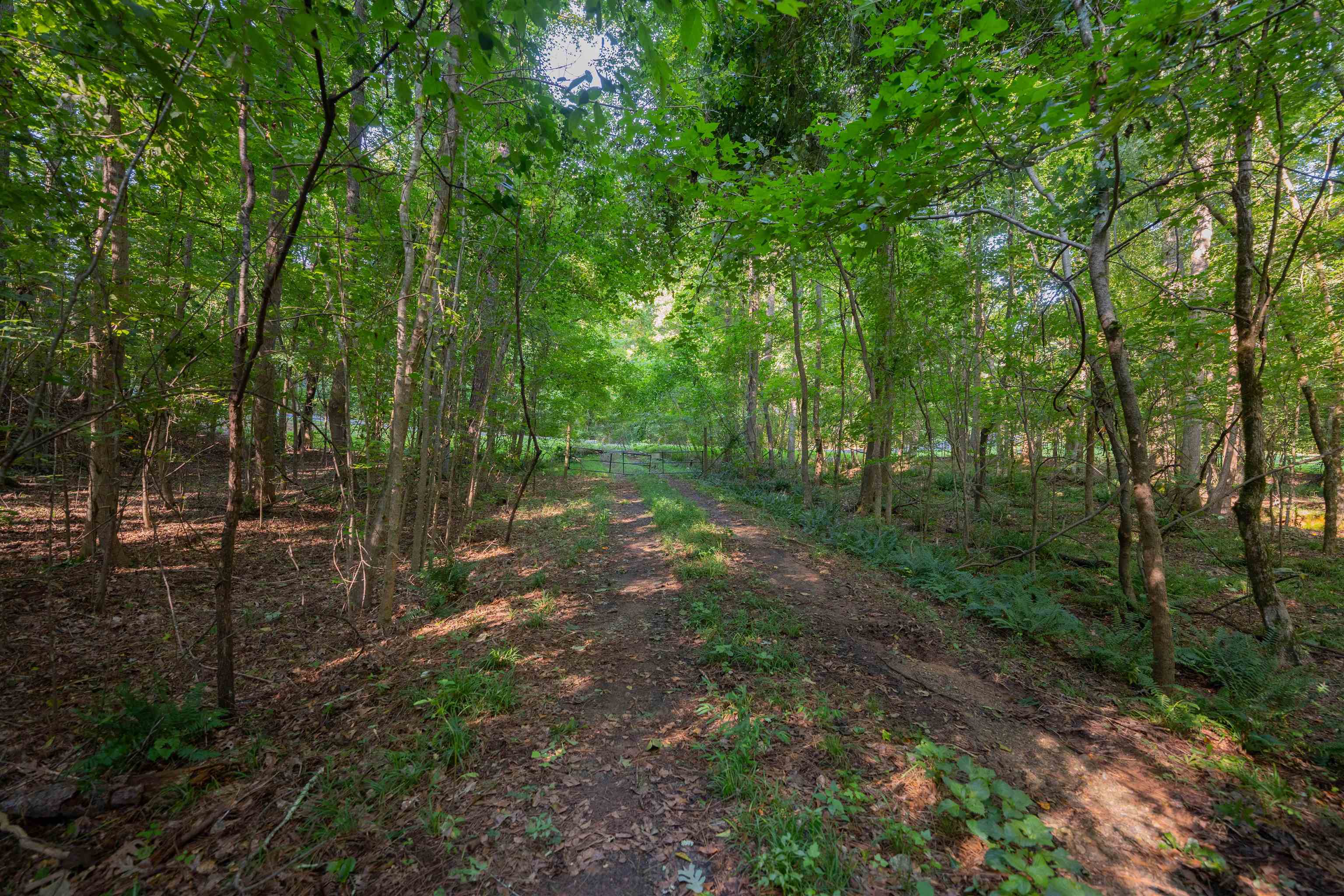 198.62 +/- AC Apalachee Woods Trail #198, Buckhead, Georgia image 10