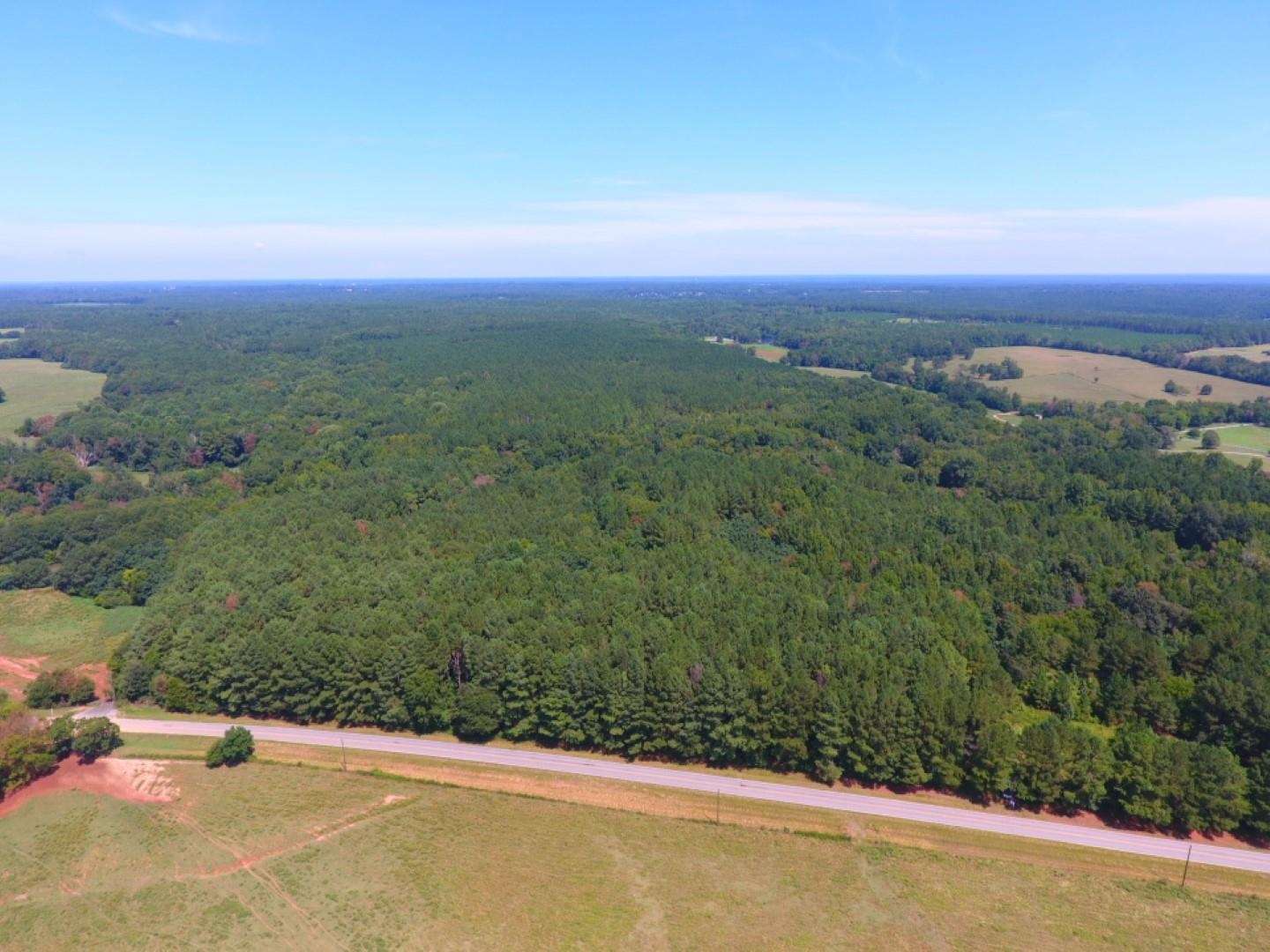 Baldwin Dairy Road, Madison, Georgia image 1