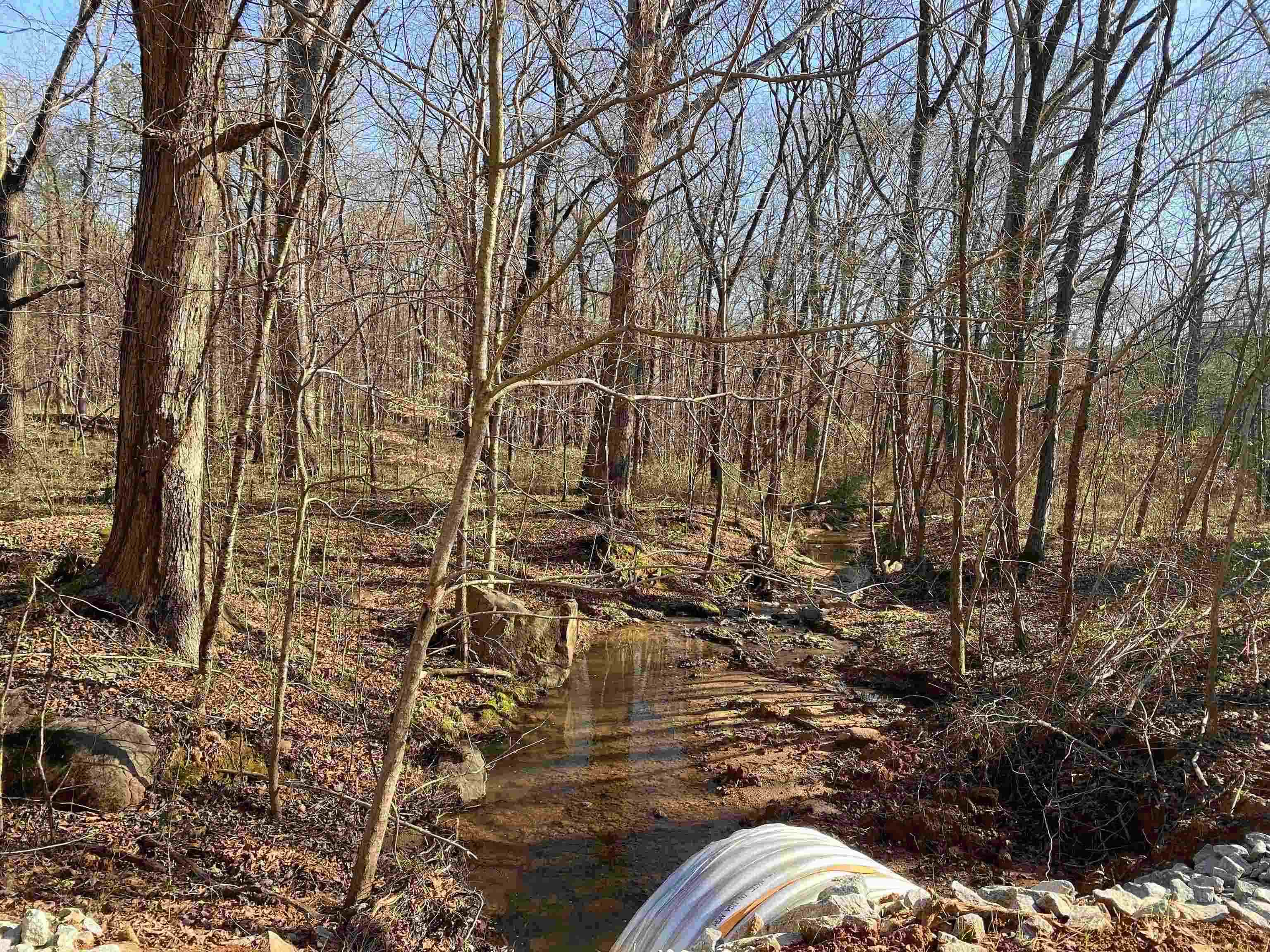 Baldwin Dairy Road, Madison, Georgia image 5