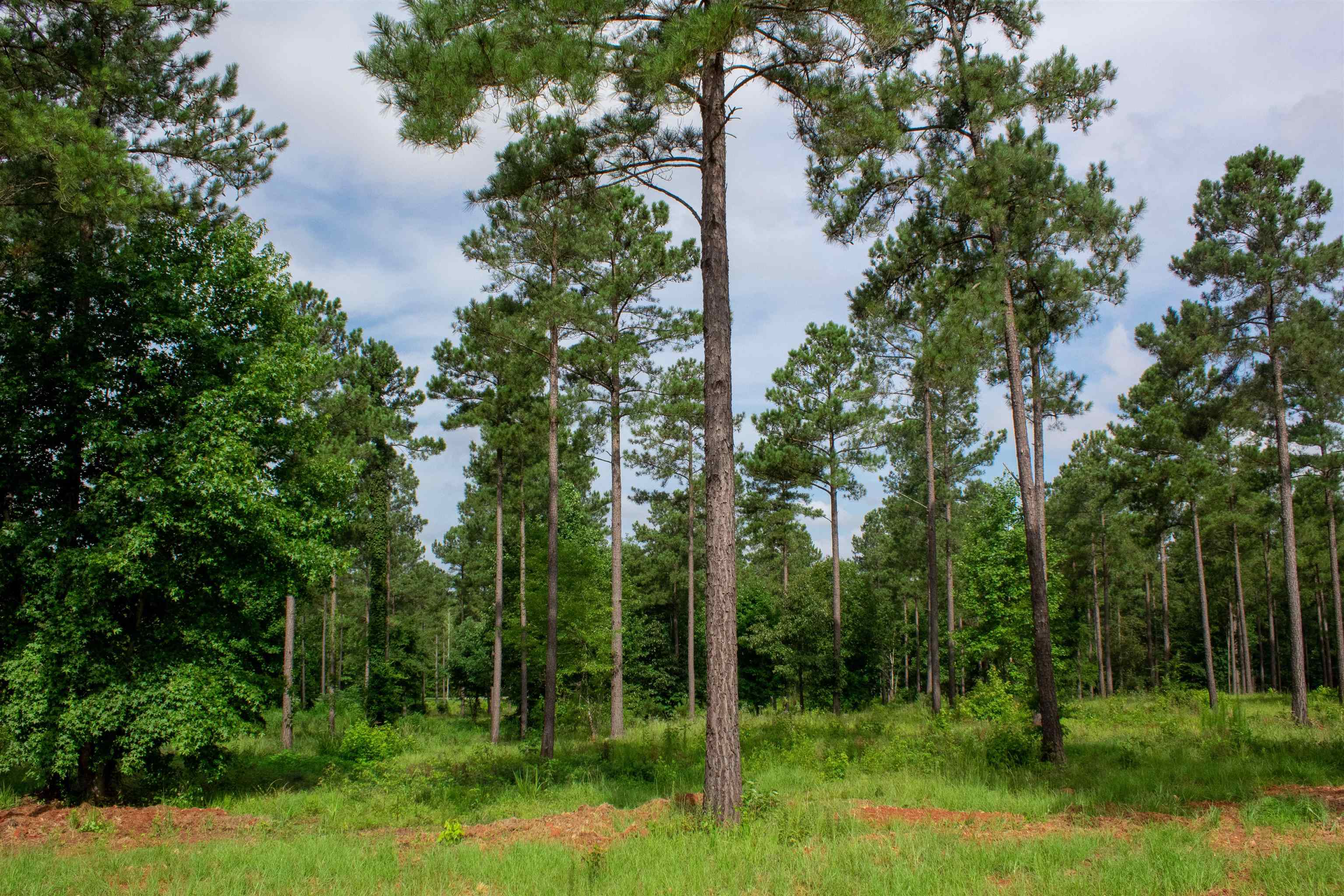 176 Overlook Drive #176, Eatonton, Georgia image 1