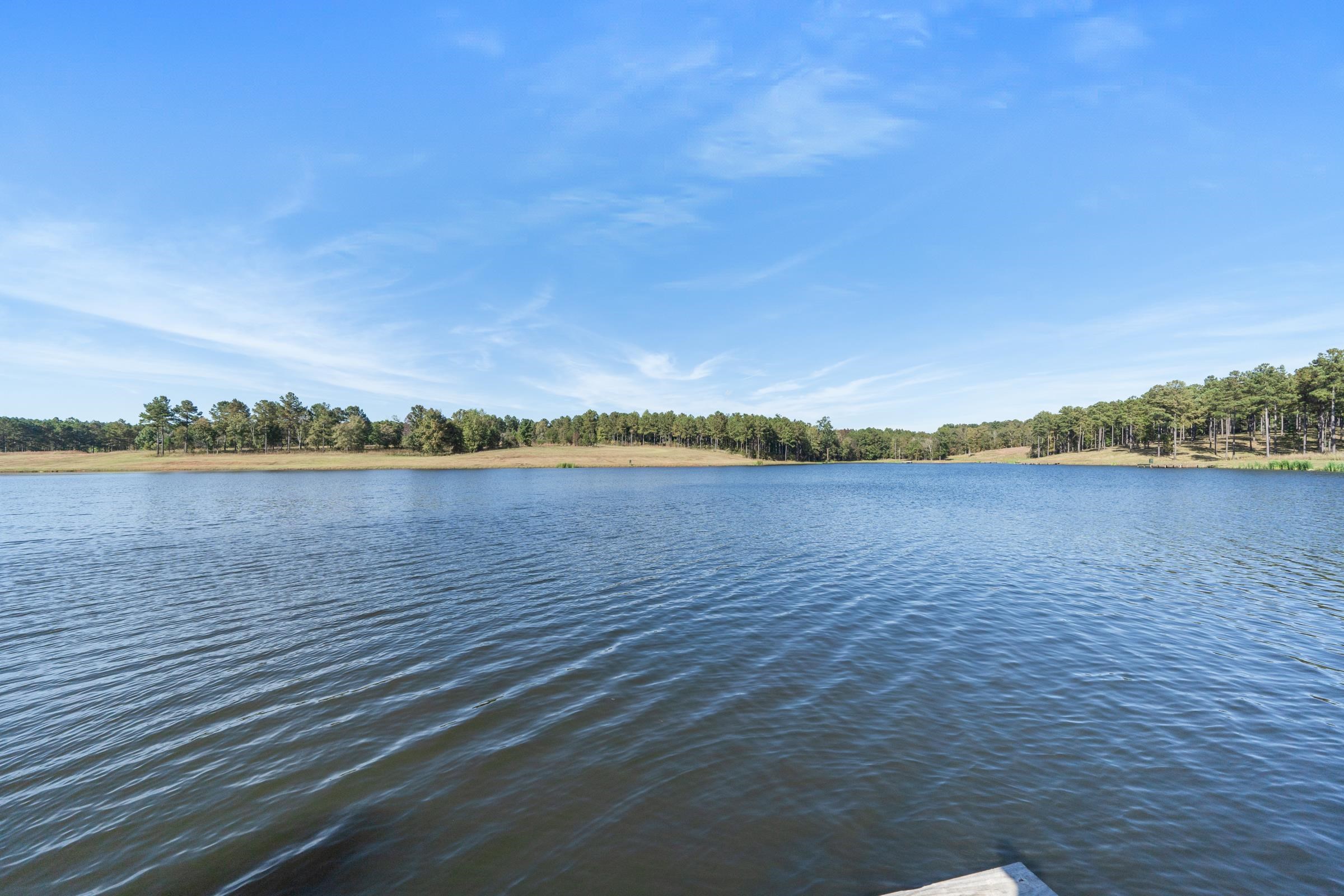 176 Overlook Drive #176, Eatonton, Georgia image 4