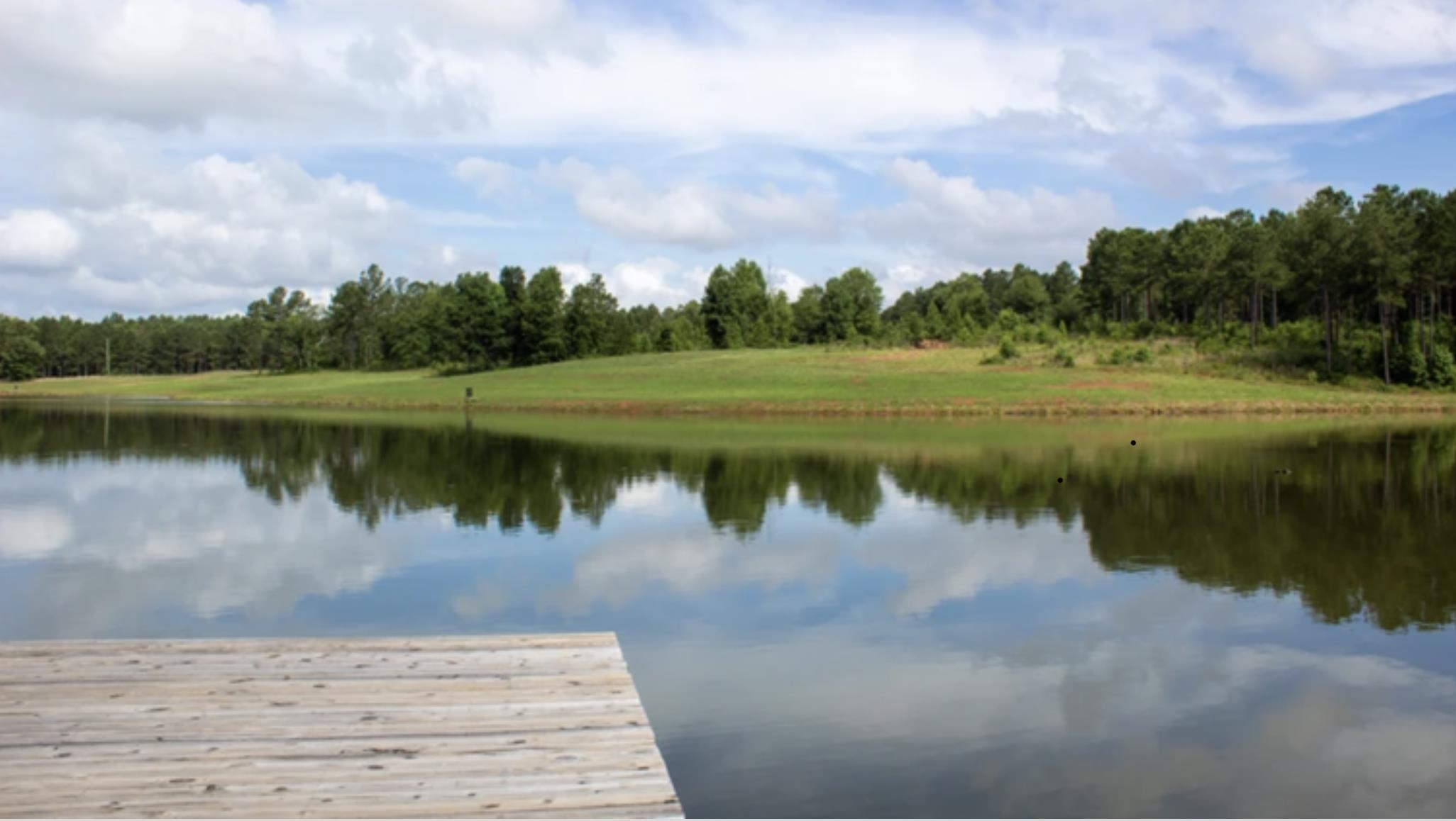 176 Overlook Drive #176, Eatonton, Georgia image 6