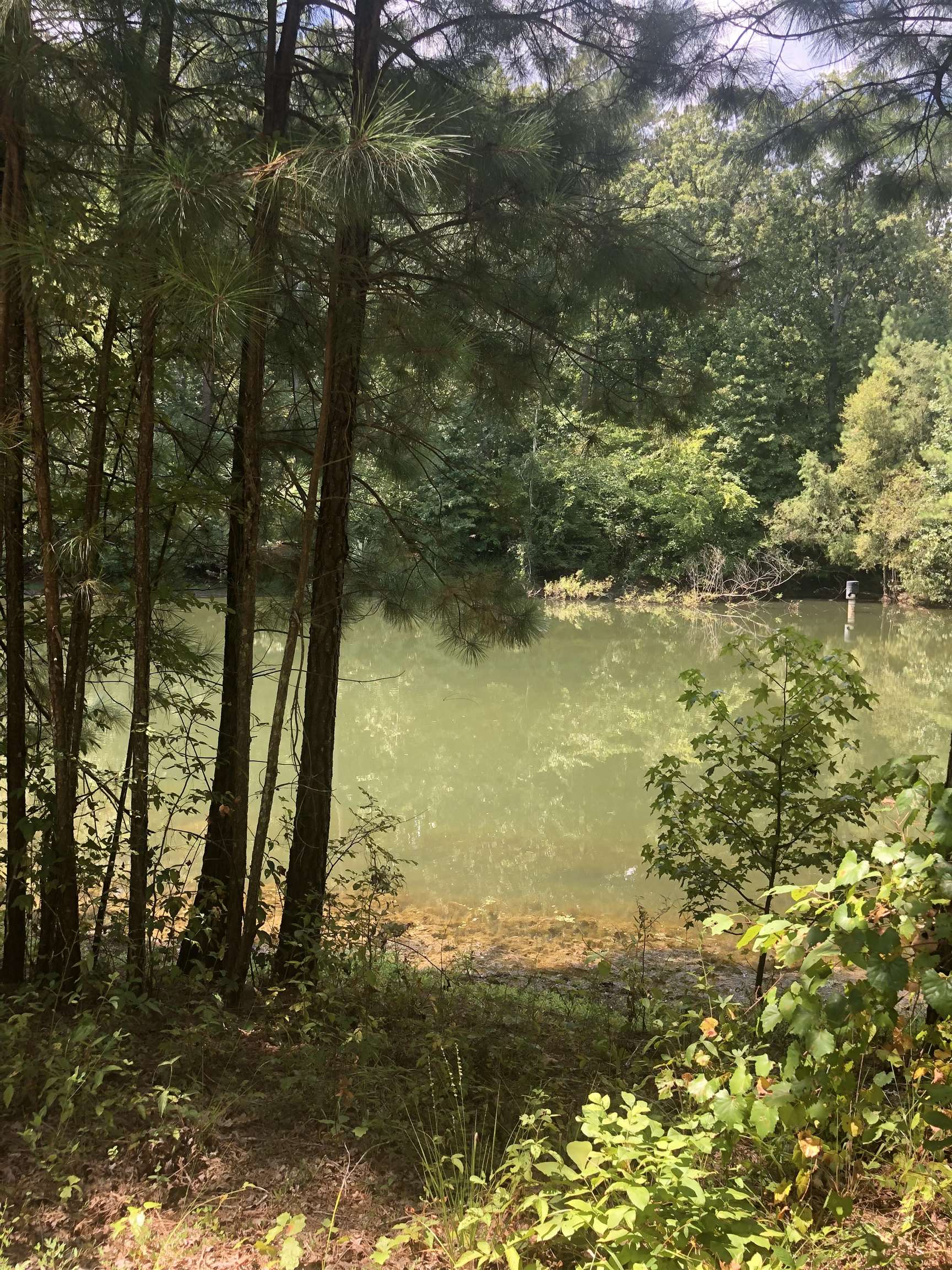 Seven Islands Road, Buckhead, Georgia image 1