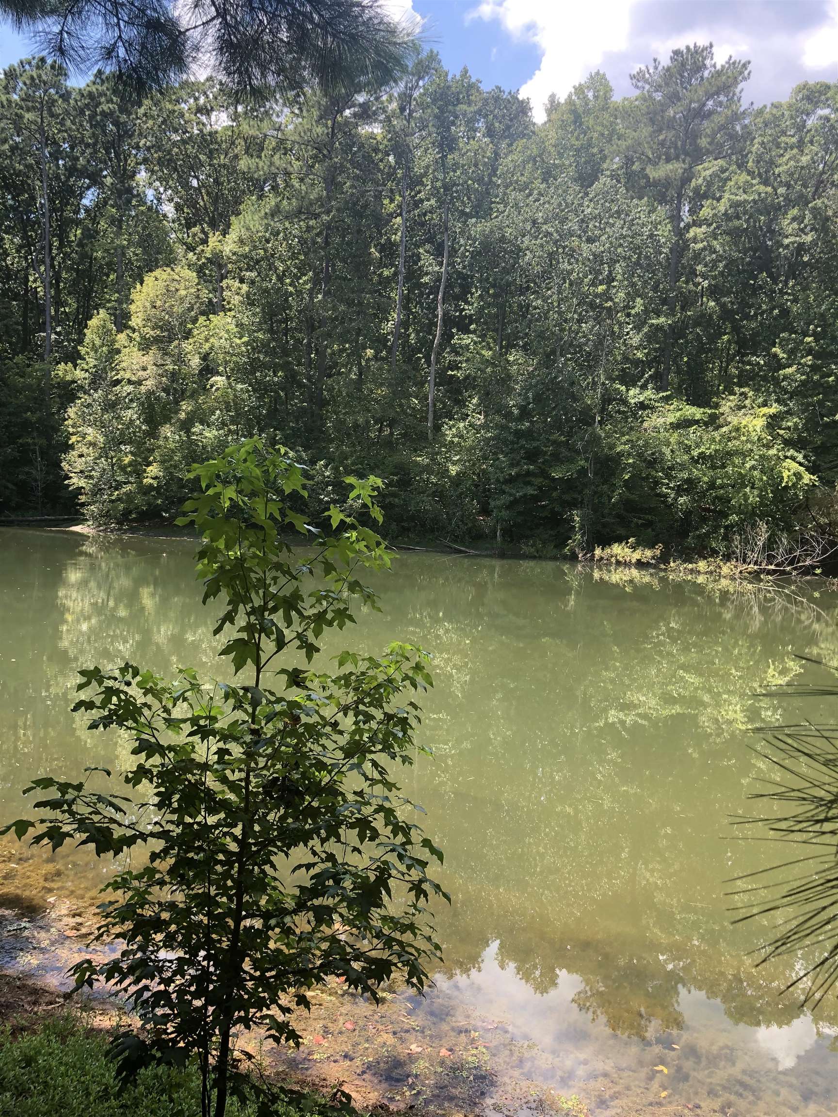 Seven Islands Road, Buckhead, Georgia image 3