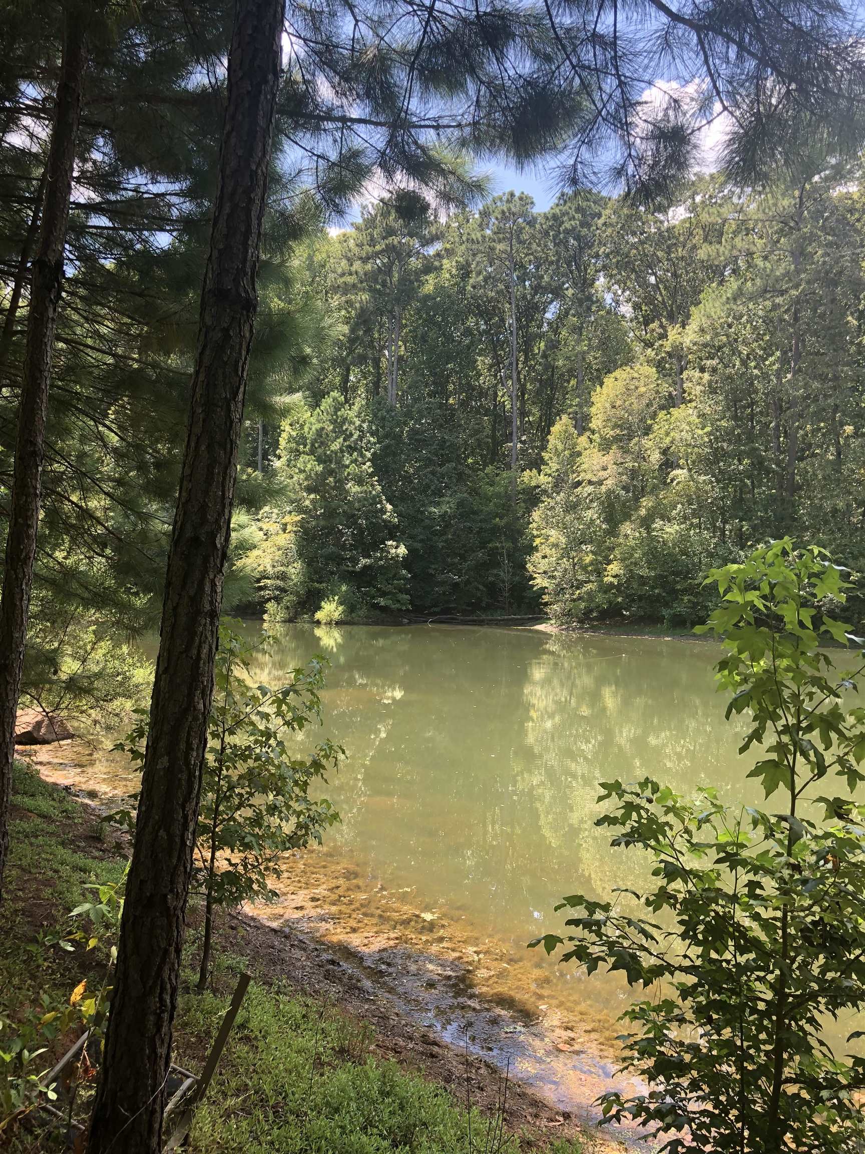 Seven Islands Road, Buckhead, Georgia image 4