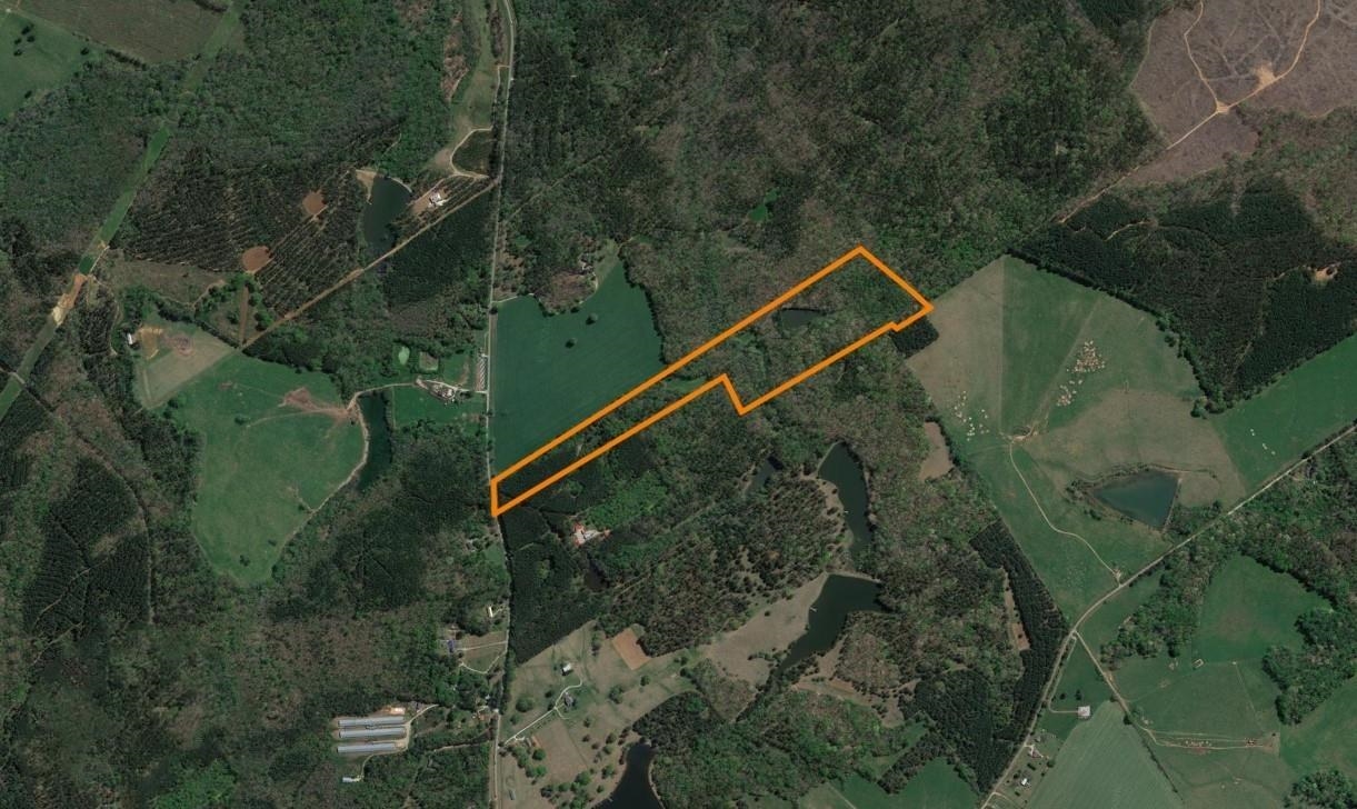 Seven Islands Road, Buckhead, Georgia image 6