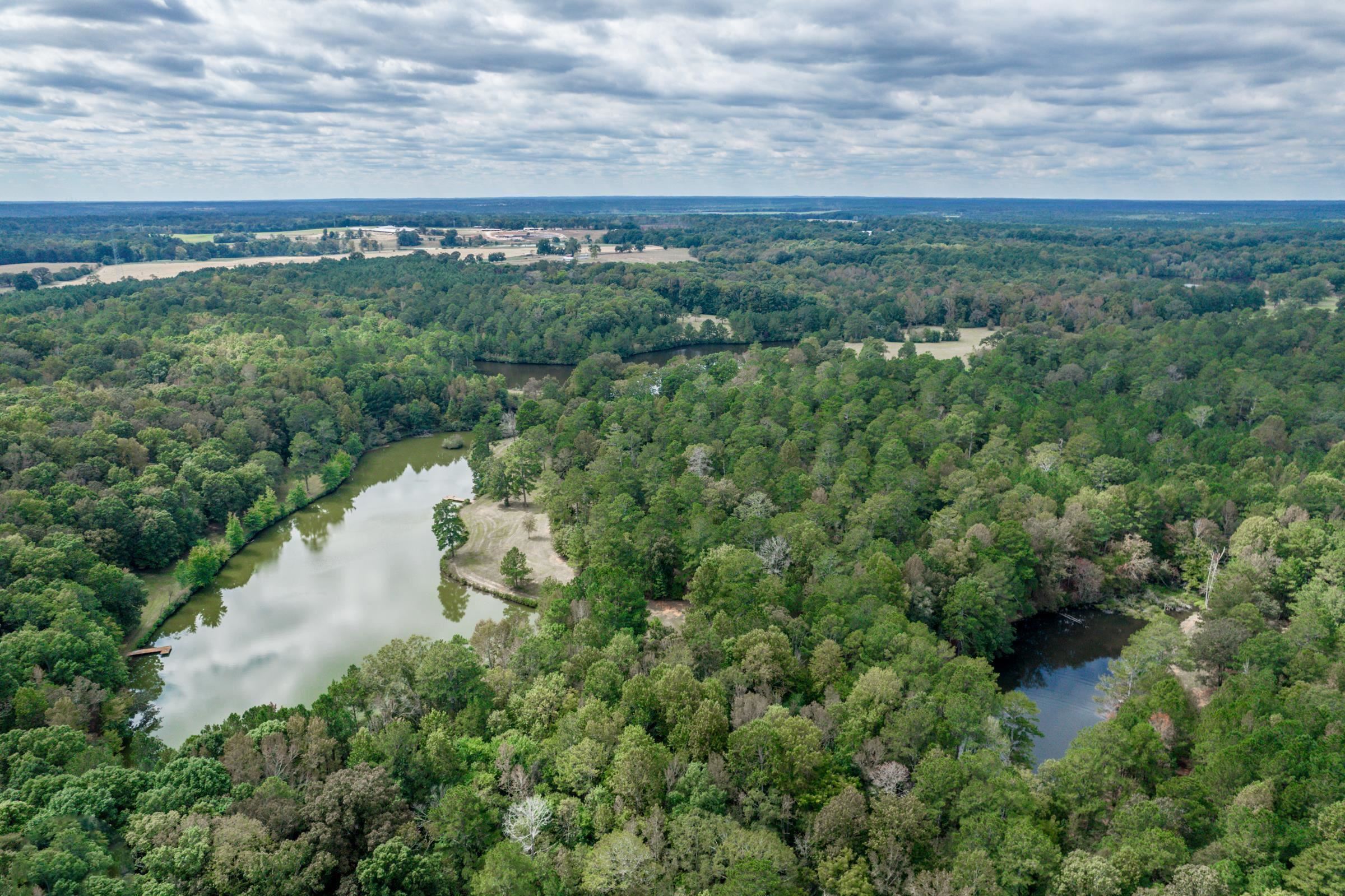 Seven Islands Road, Buckhead, Georgia image 7