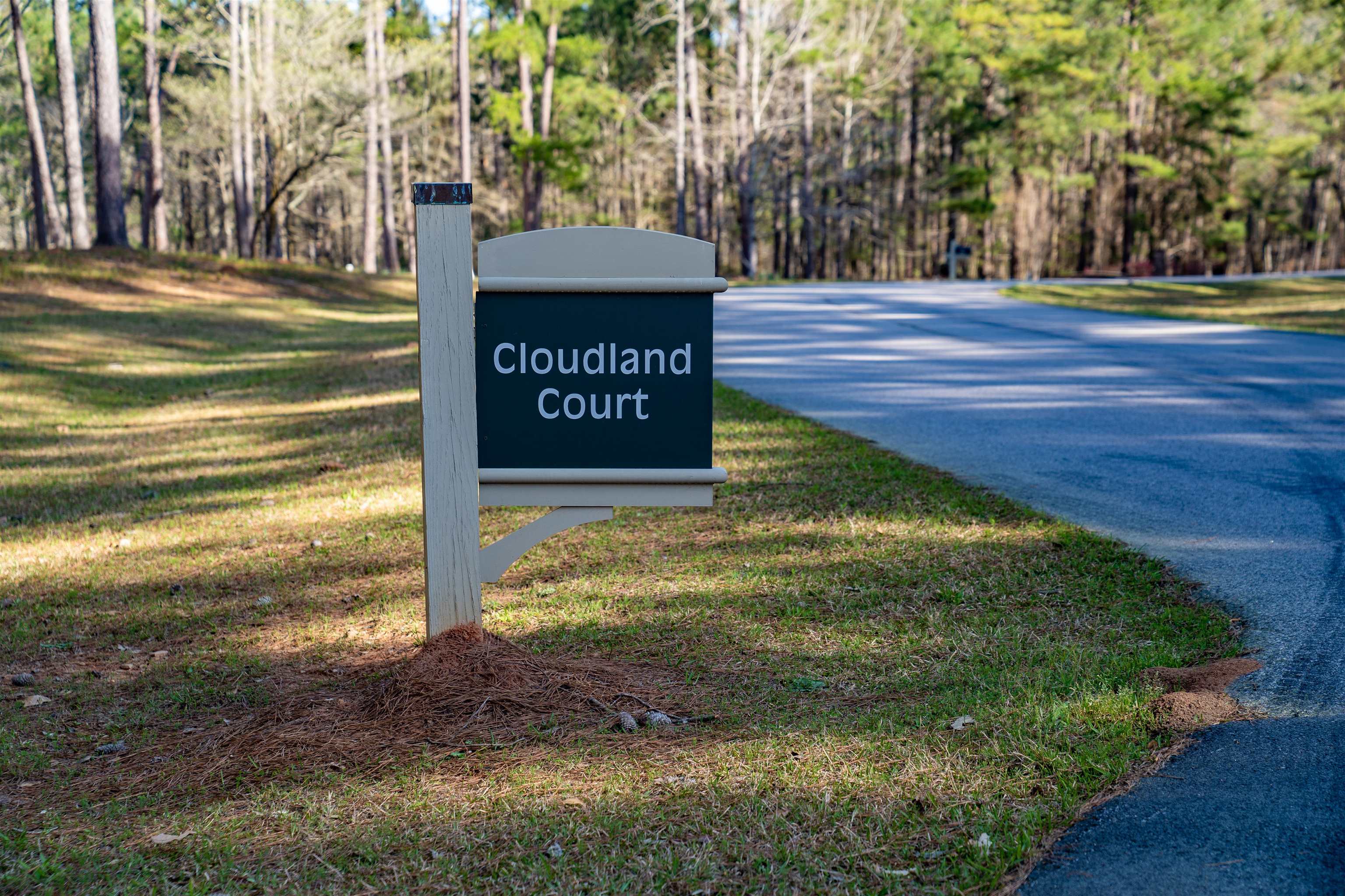 1070 Cloudland Court image 27