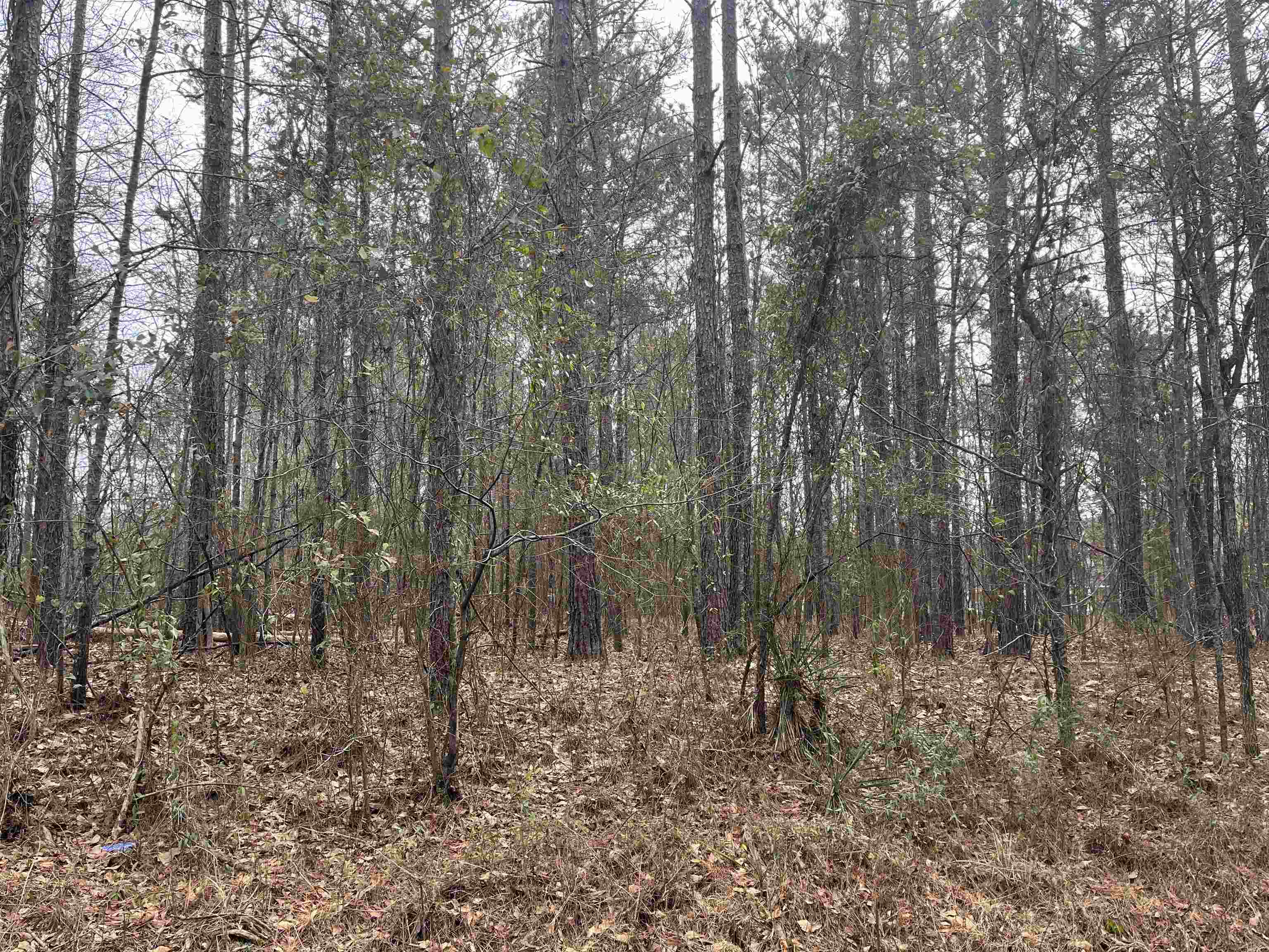 6.70 Acres Bradley Road #6, Eatonton, Georgia image 1
