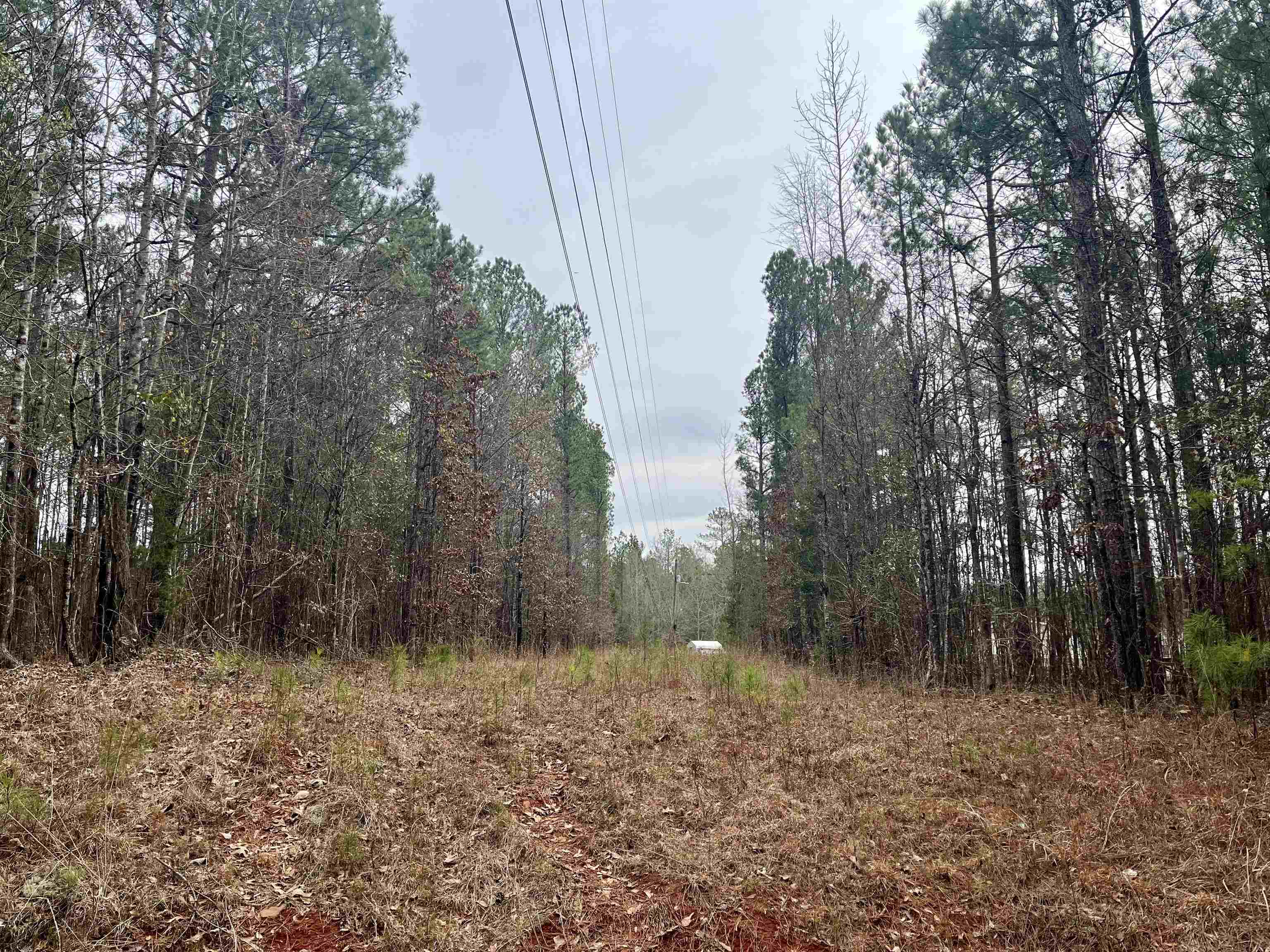 6.70 Acres Bradley Road #6, Eatonton, Georgia image 5