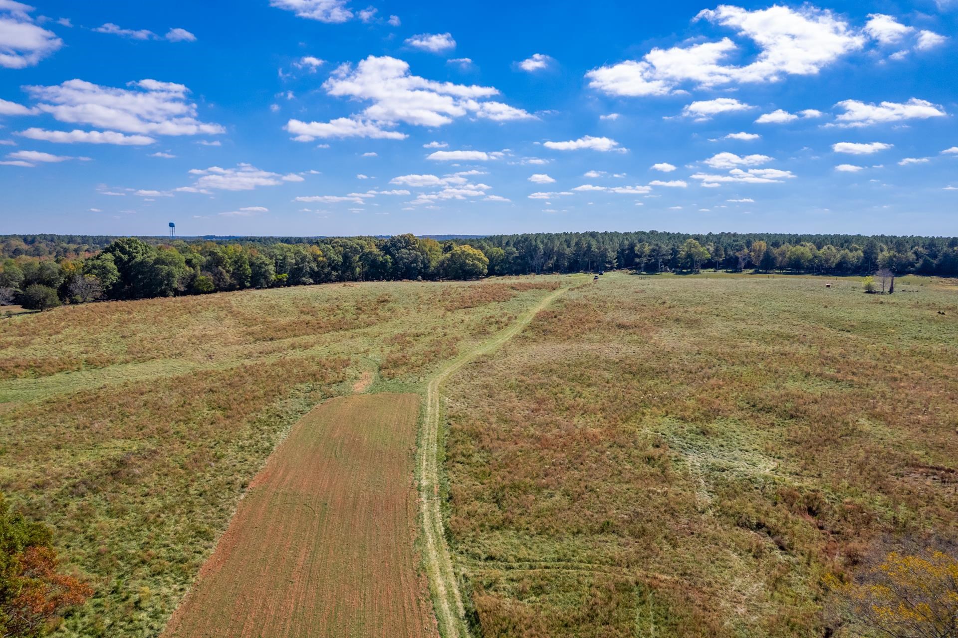 Lot 7 Wallace Road #7, Madison, Georgia image 7