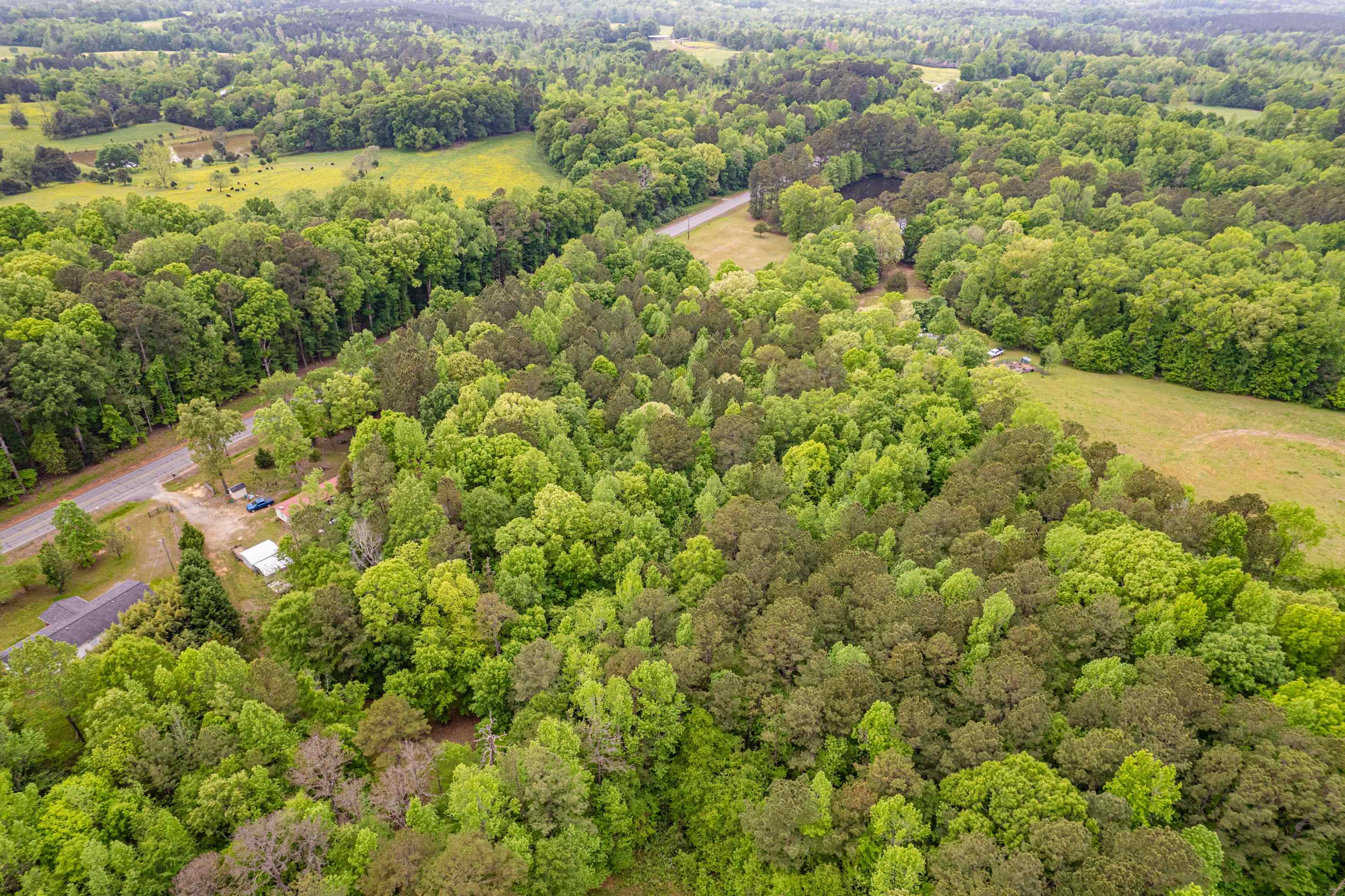 0 Lot 6 Monticello Road, Eatonton, Georgia image 6