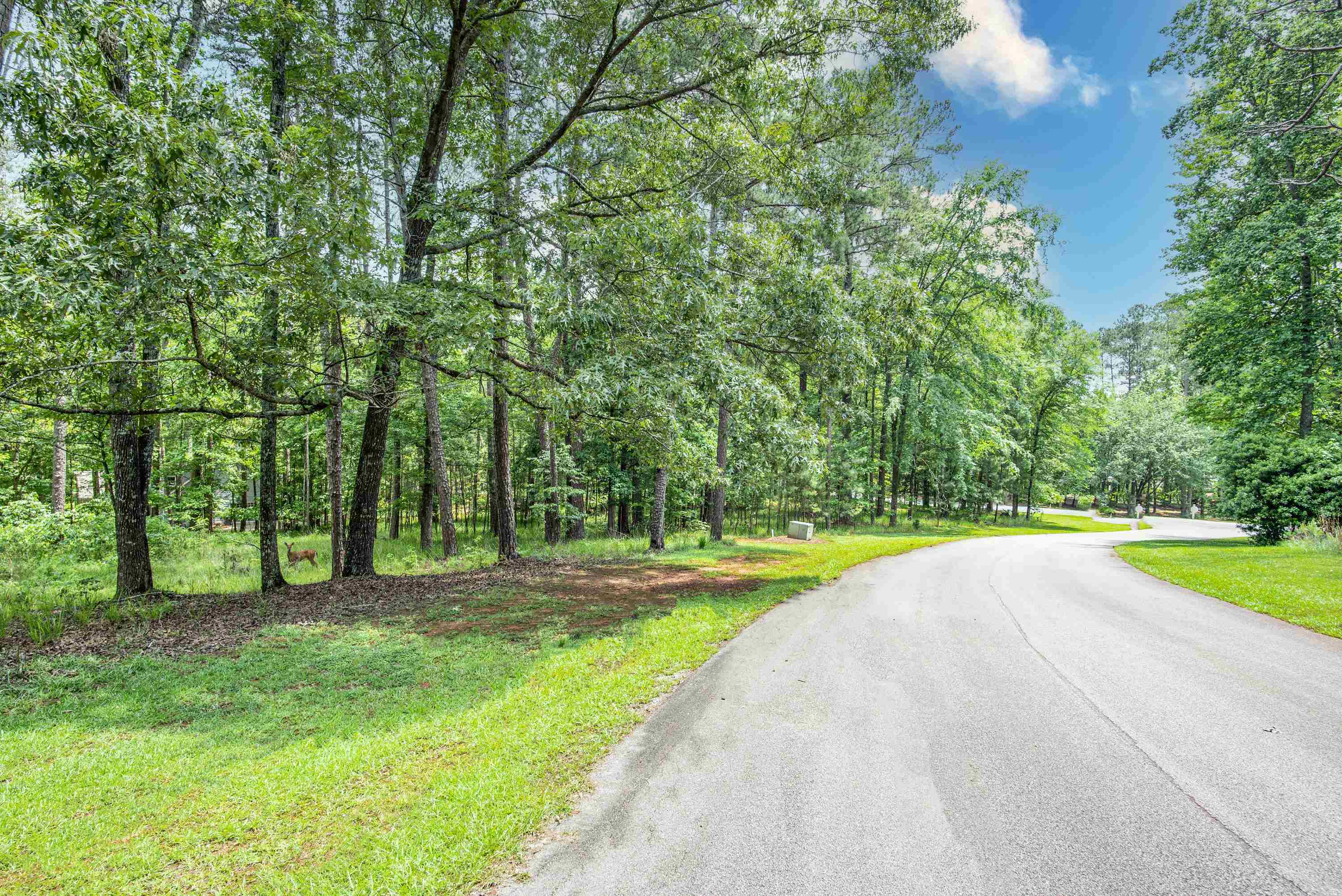1021 Tallesse Trail image 19