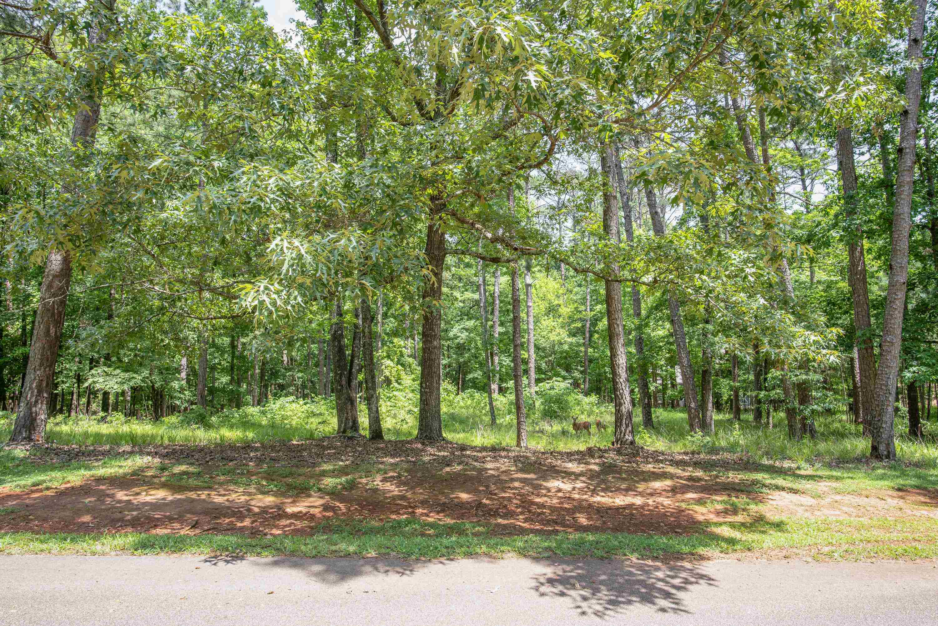 1021 Tallesse Trail image 21
