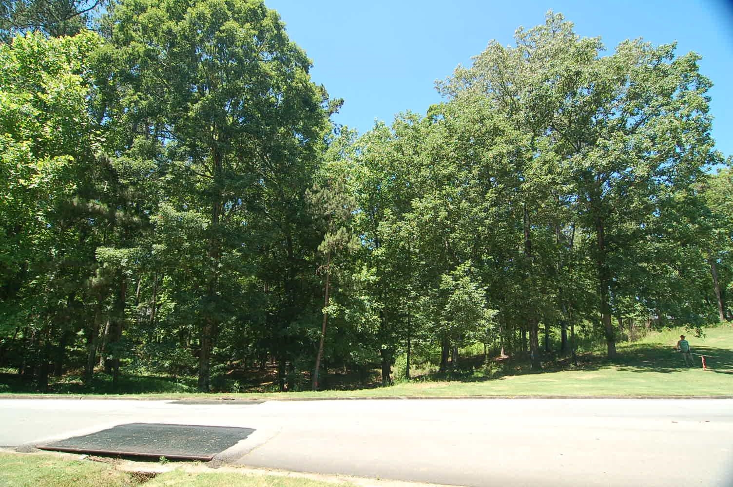 1711 Osprey Poynte #1711, Greensboro, Georgia image 3