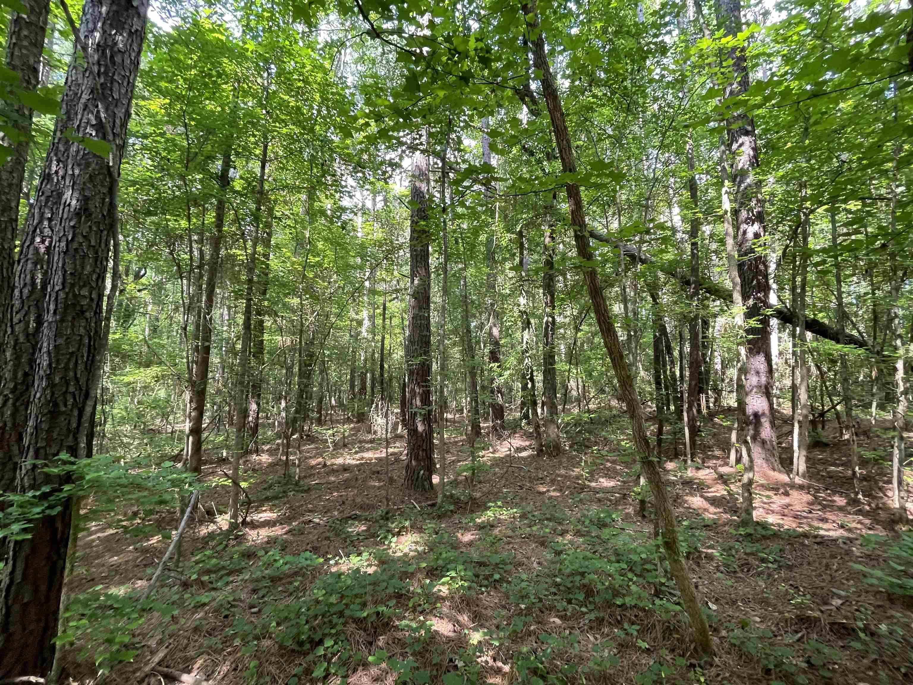 1740 Cato Road #1740, Greensboro, Georgia image 18