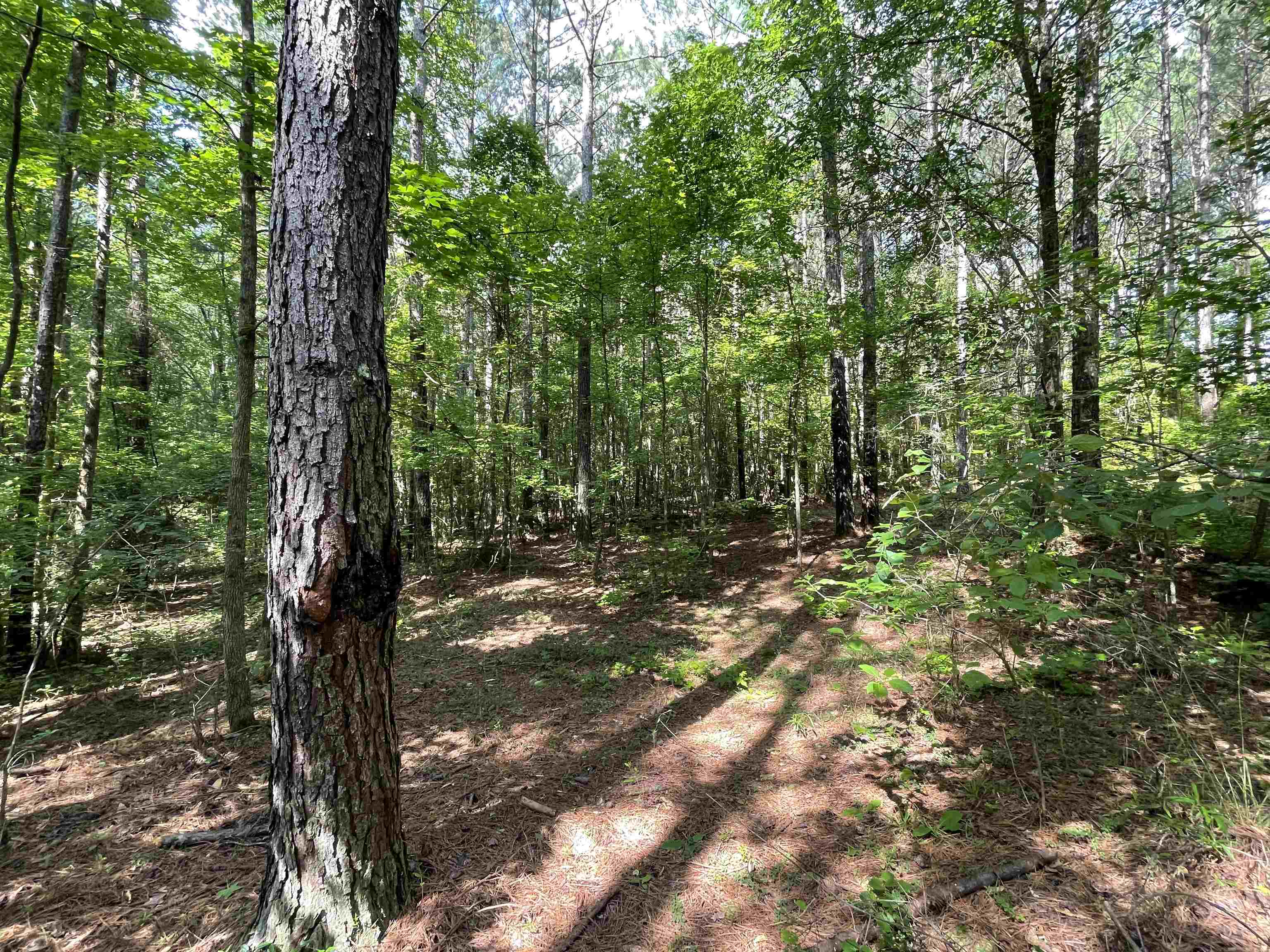1740 Cato Road #1740, Greensboro, Georgia image 21