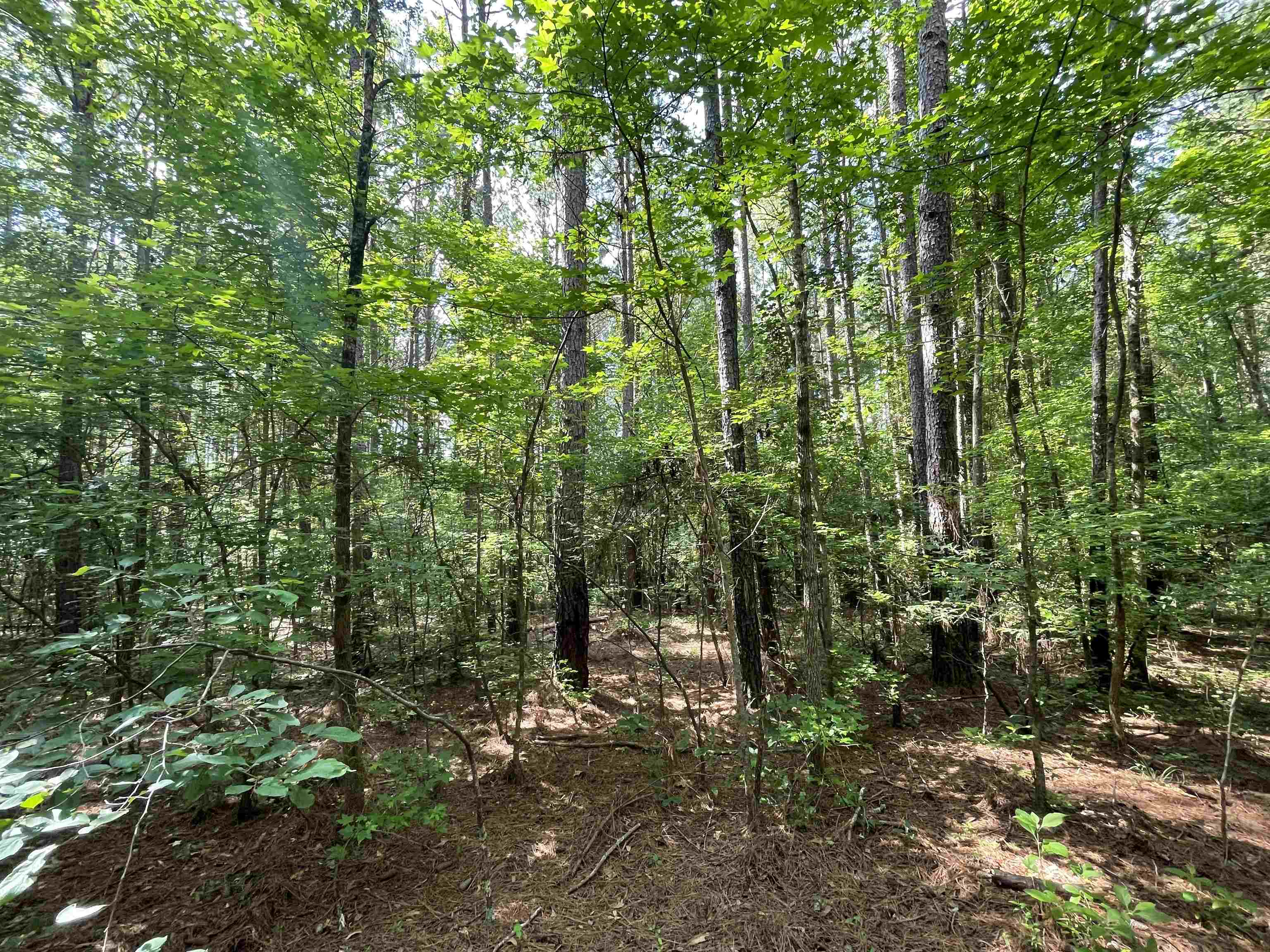 1740 Cato Road #1740, Greensboro, Georgia image 22