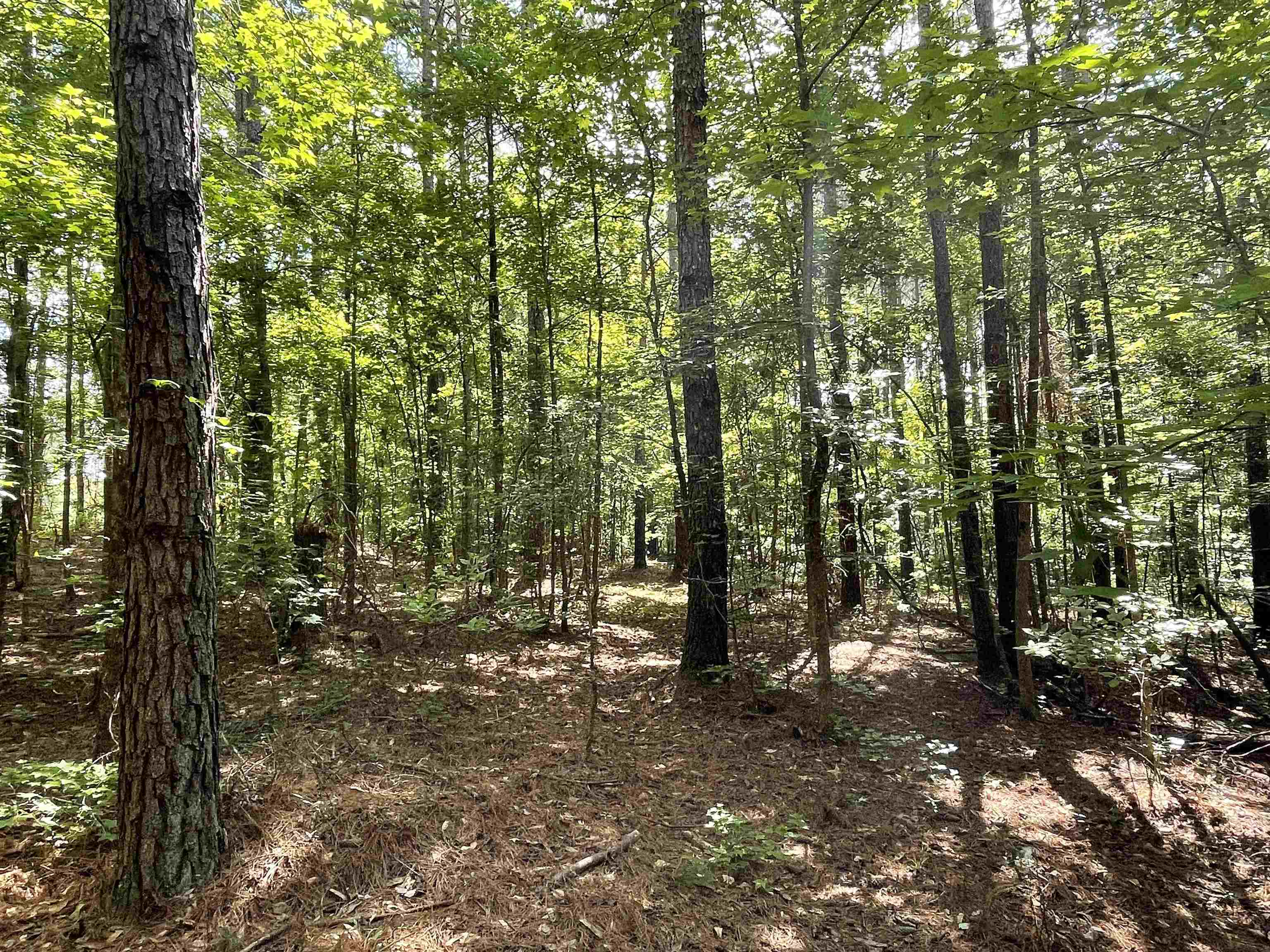 1740 Cato Road #1740, Greensboro, Georgia image 23