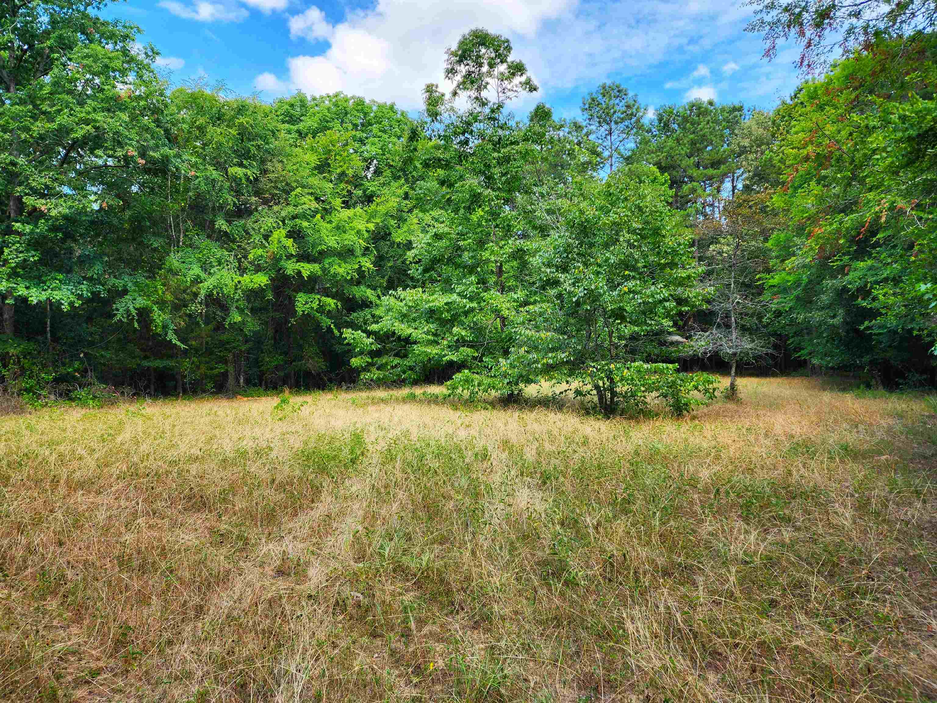 145 S Sugar Creek Road #145, Eatonton, Georgia image 1