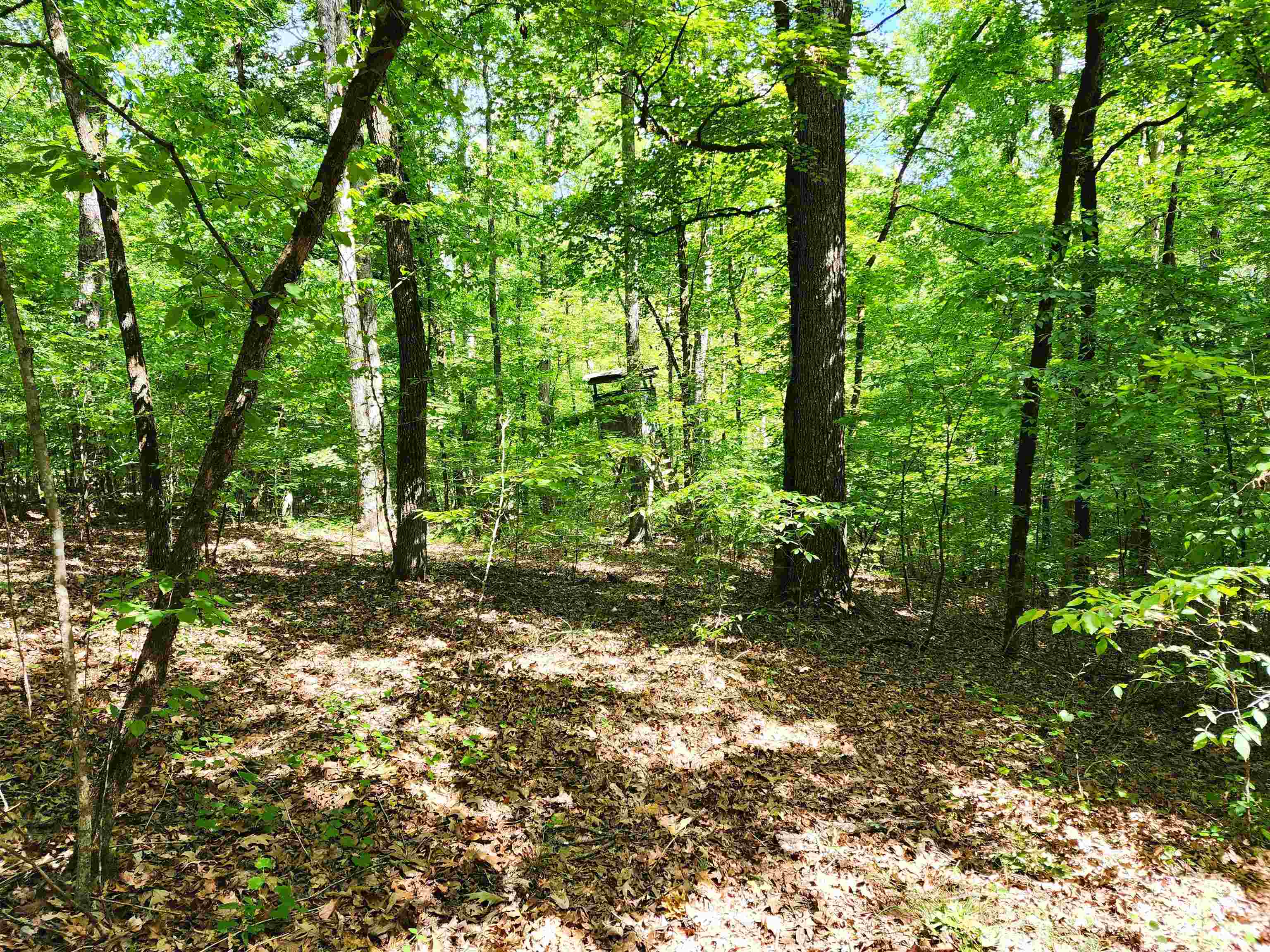 145 S Sugar Creek Road #145, Eatonton, Georgia image 4