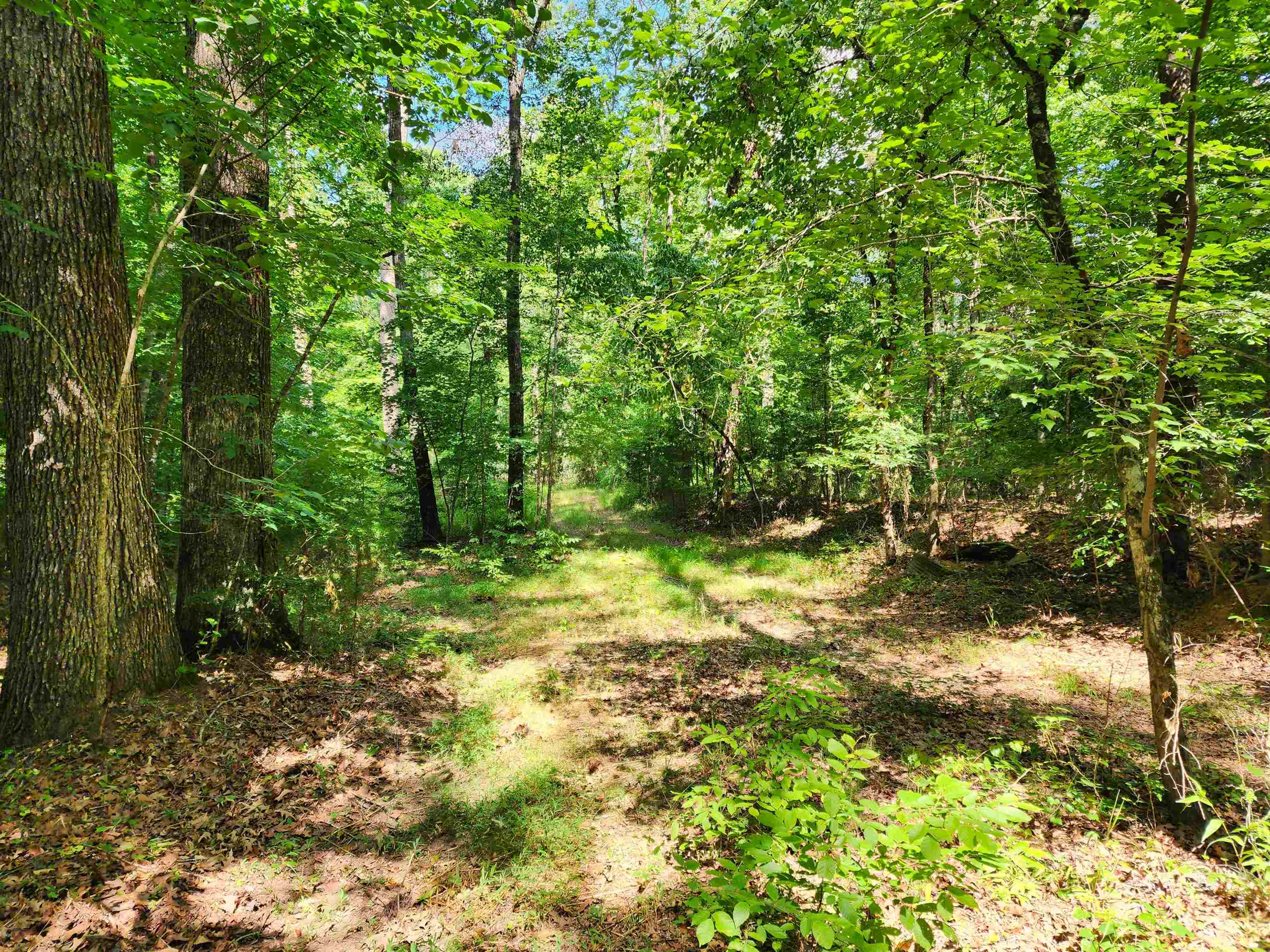 145 S Sugar Creek Road #145, Eatonton, Georgia image 6