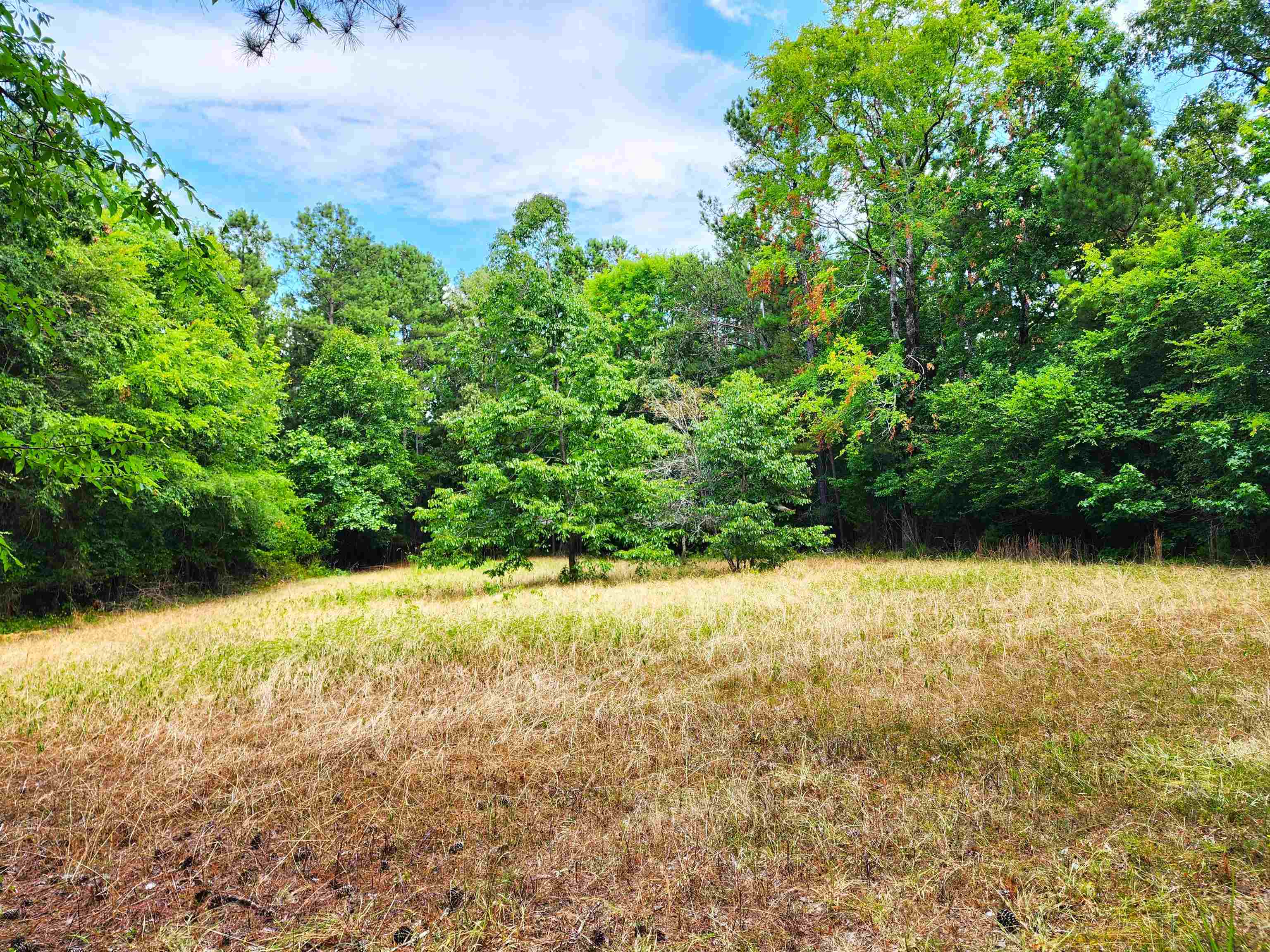 145 S Sugar Creek Road #145, Eatonton, Georgia image 7
