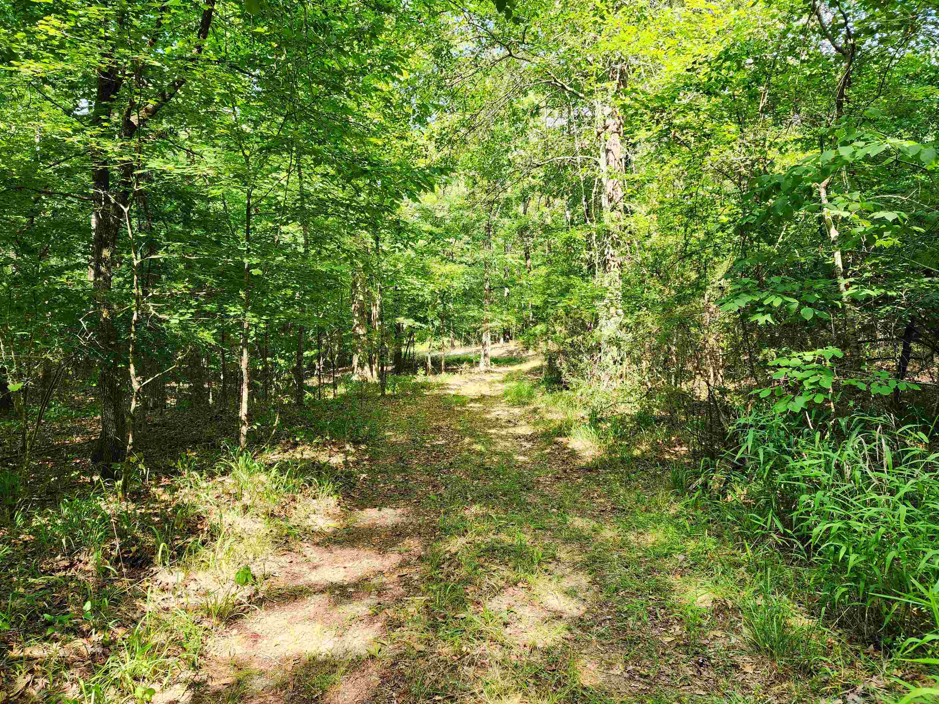 145 S Sugar Creek Road #145, Eatonton, Georgia image 8