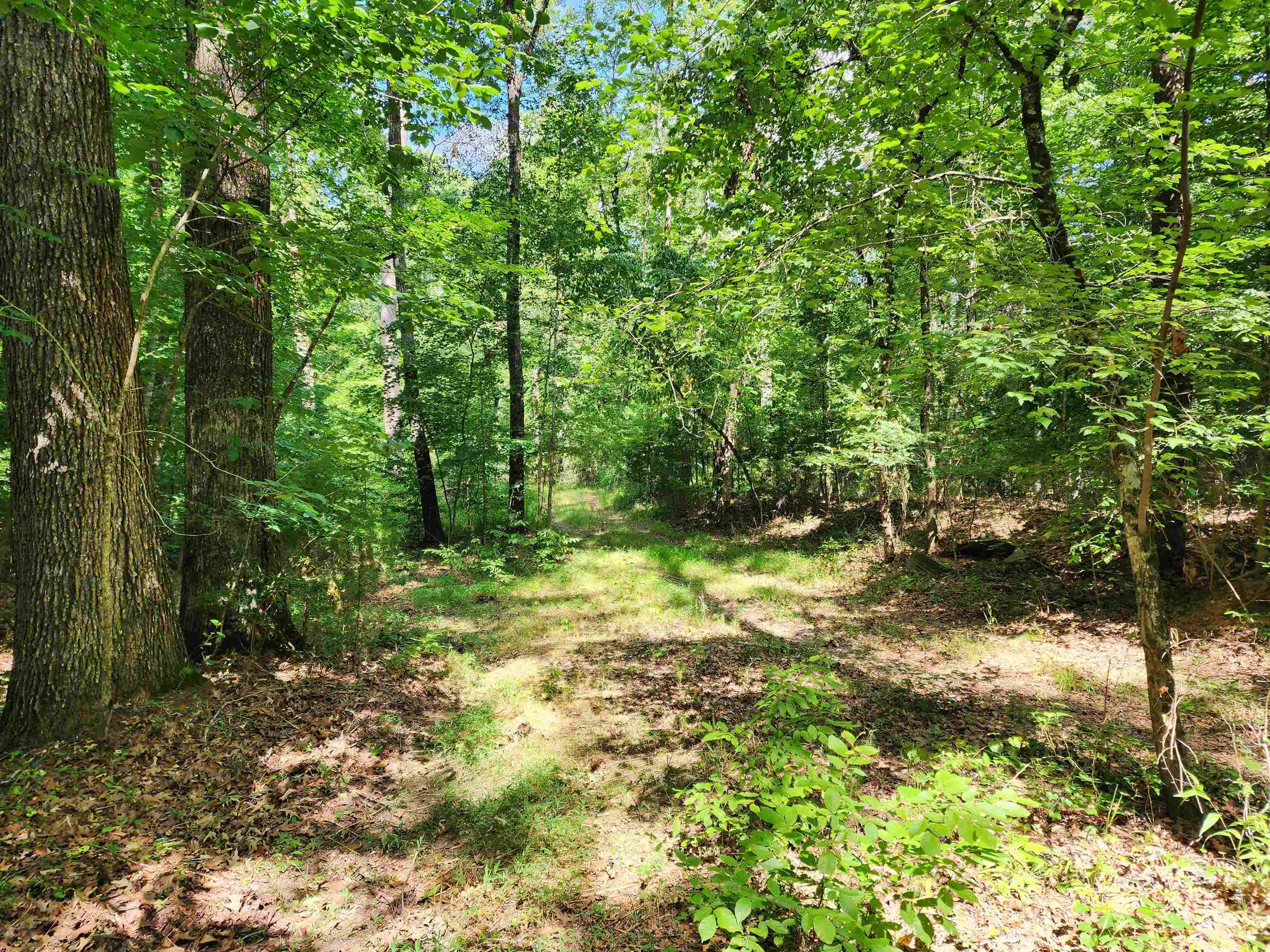 145 S Sugar Creek Road #145, Eatonton, Georgia image 9