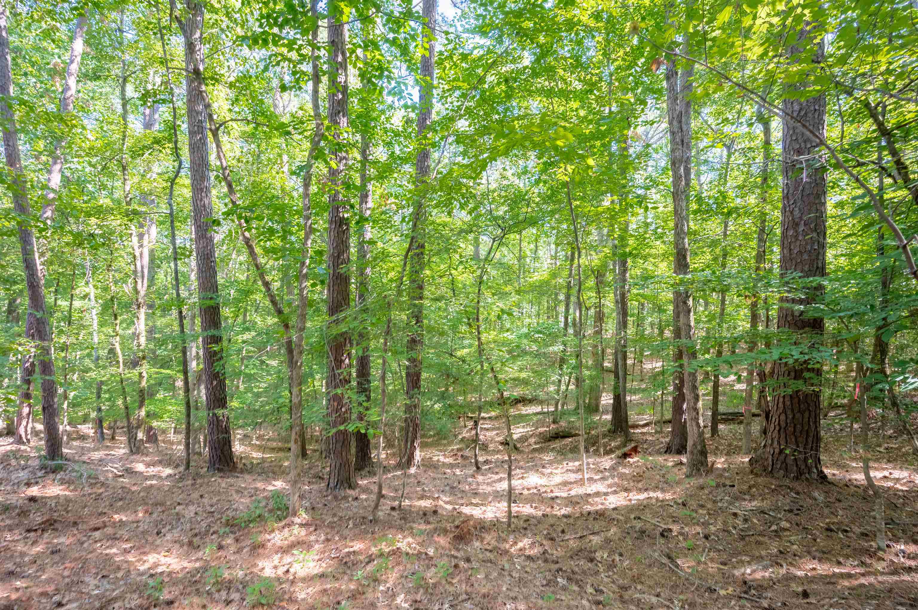 1790 Snug Harbor Drive #1790, Greensboro, Georgia image 1