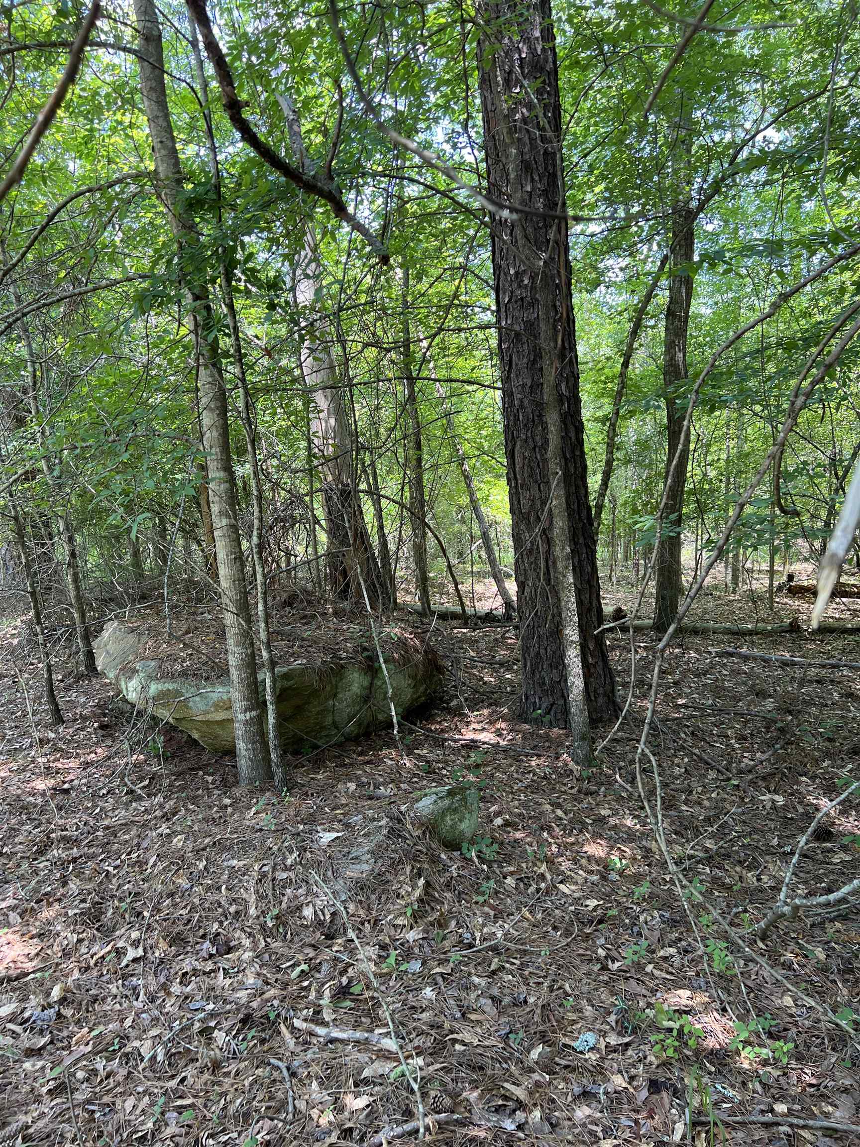 Crooked Creek Bay Road, Eatonton, Georgia image 1